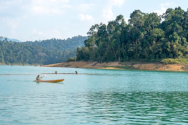 Two people in a canoe paddling down a river