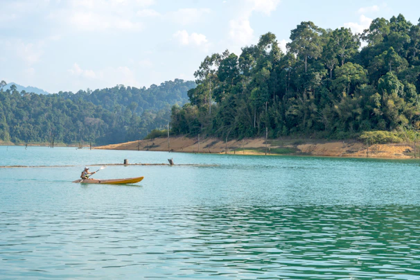 Two people in a canoe paddling down a river