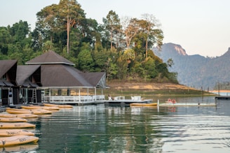 A number of boats in a body of water