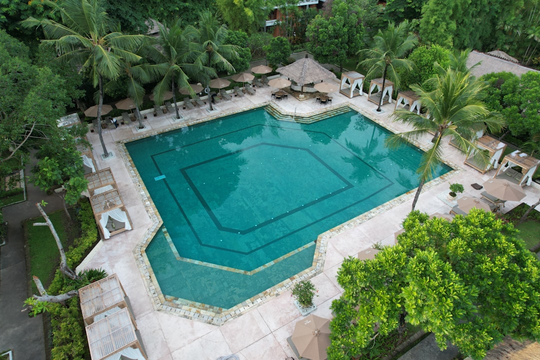 An aerial view of a swimming pool surrounded by trees