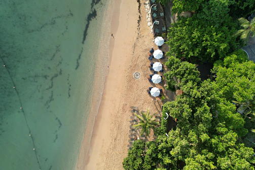 An aerial view of a beach with umbrellas and trees