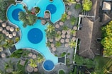 An aerial view of a pool surrounded by trees
