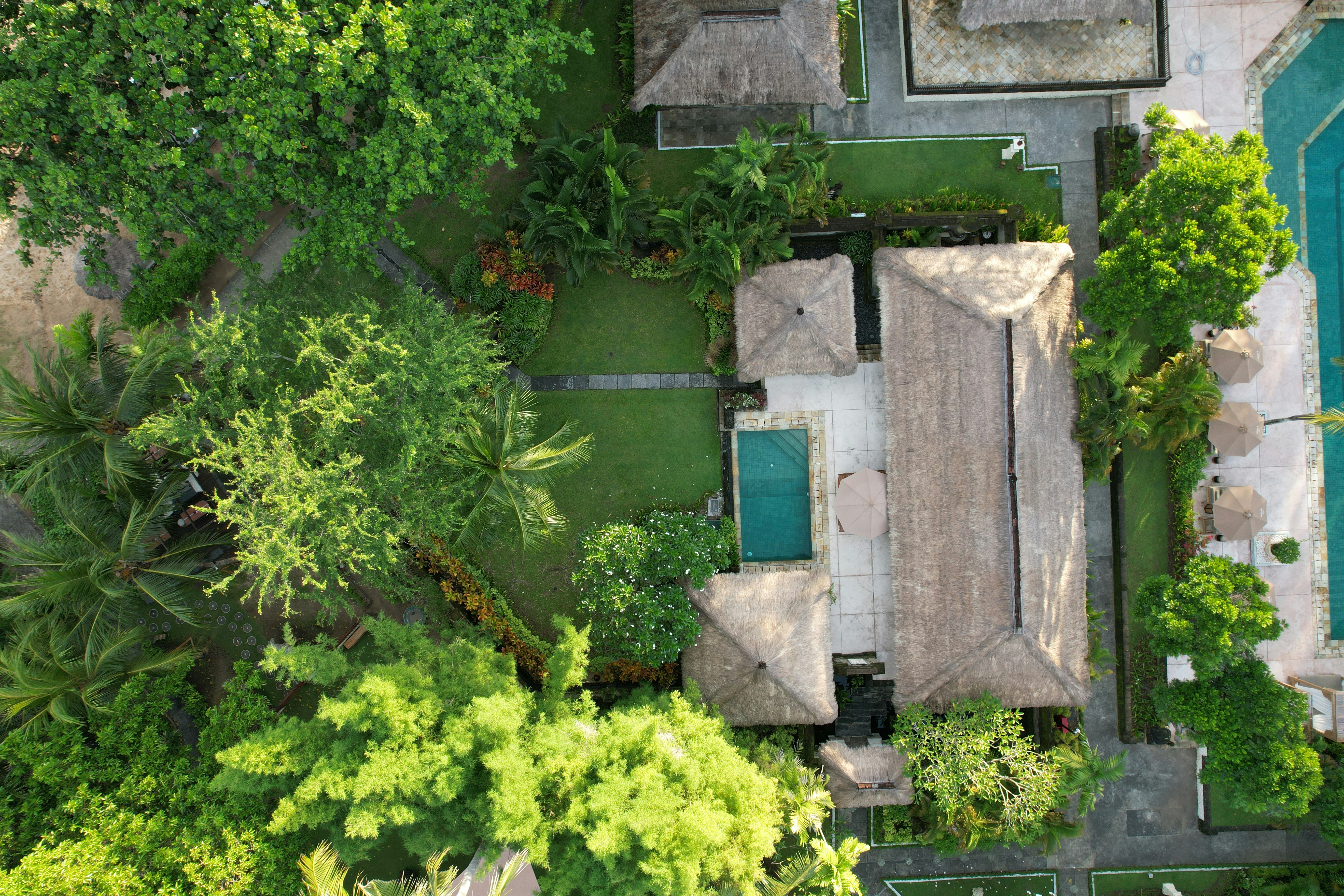 Photo by antonioaaaraujo