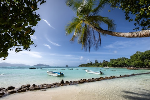 A sandy beach with boats and palm trees