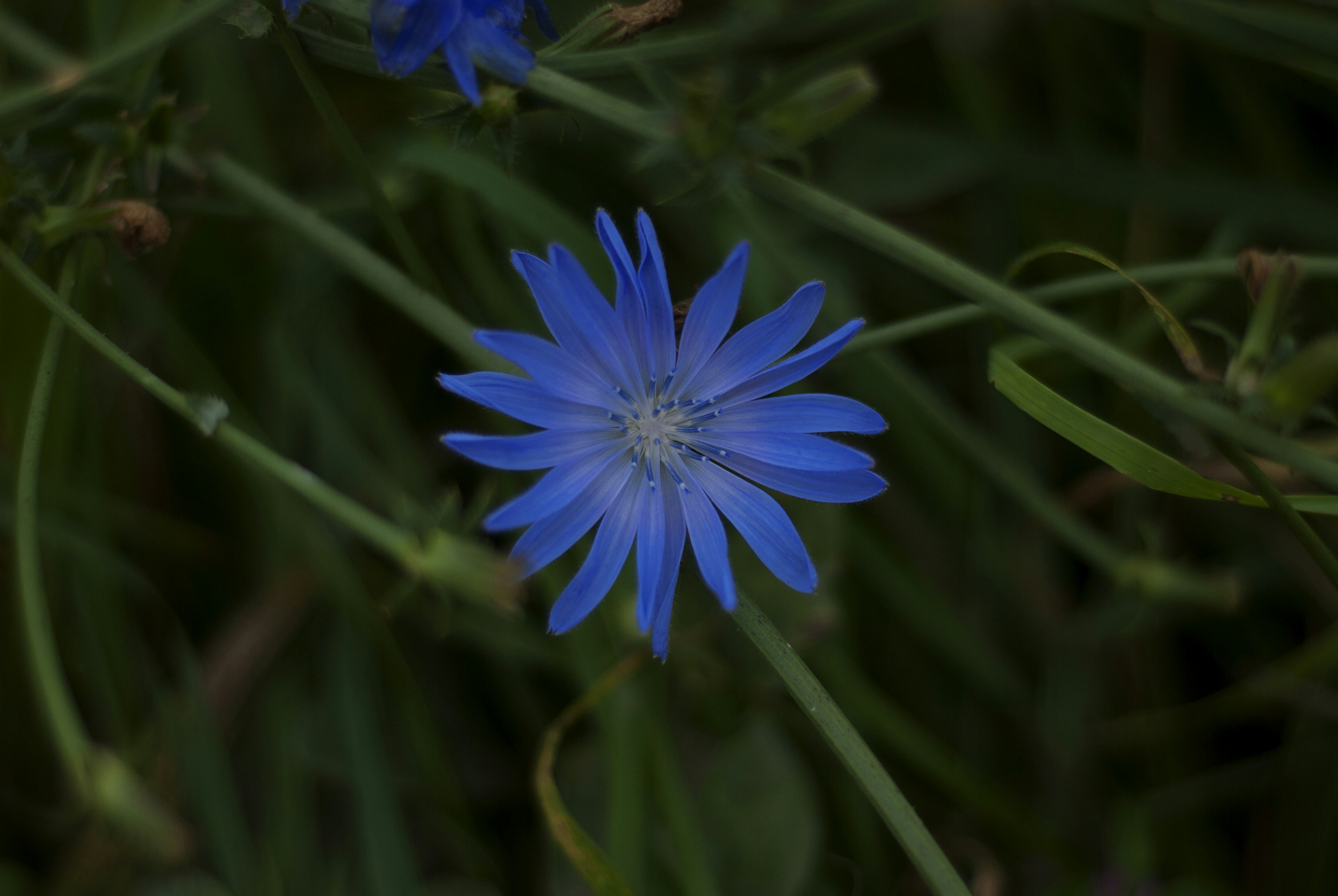 Photo by kovalskihelga