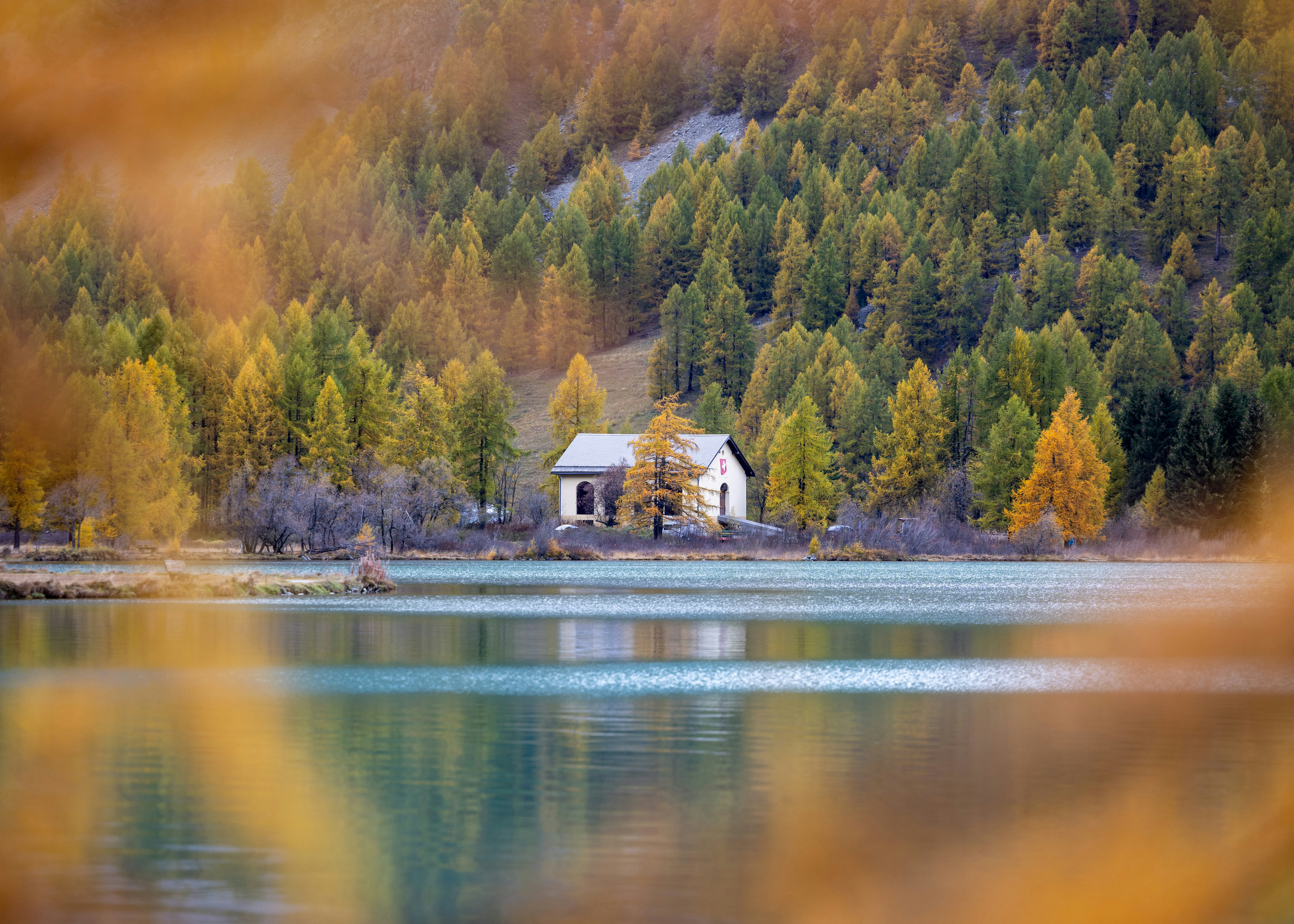 A house on the shore of a lake surrounded by trees