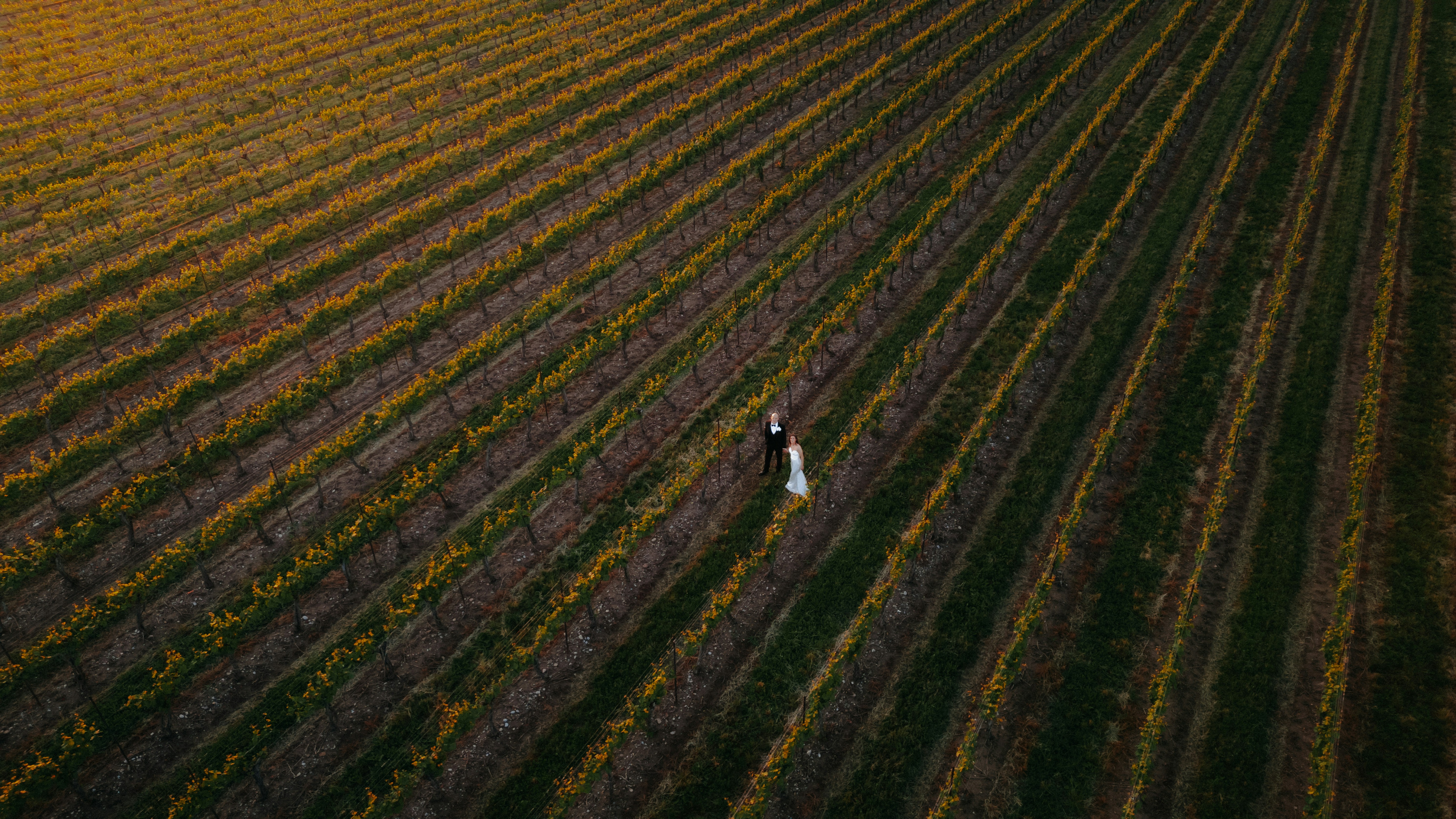 An aerial view of a farmer's field in the fall