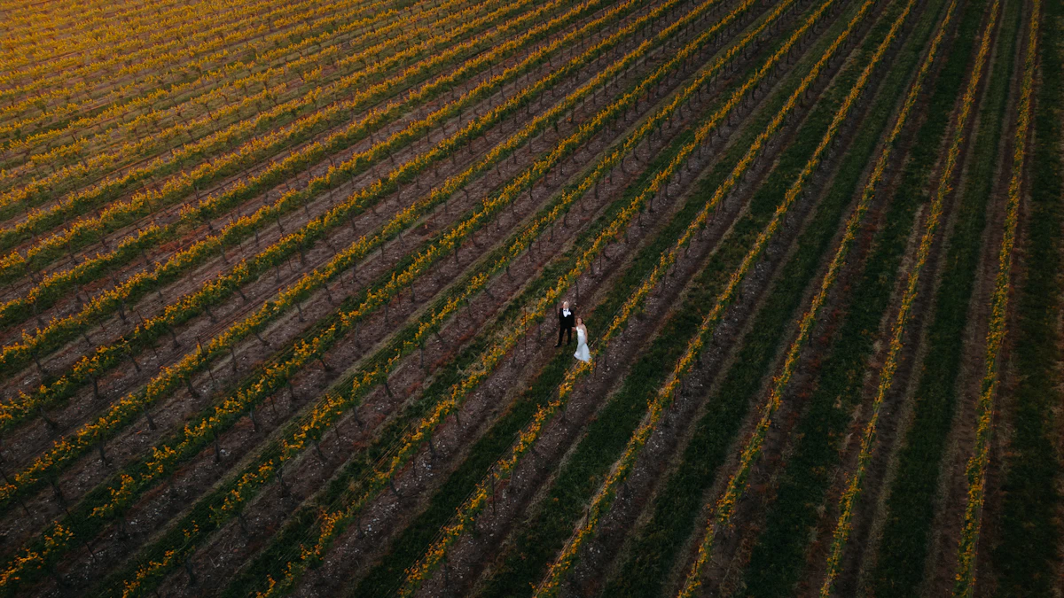 Monticello Ridge Farm, venue in Charlottesville, VA