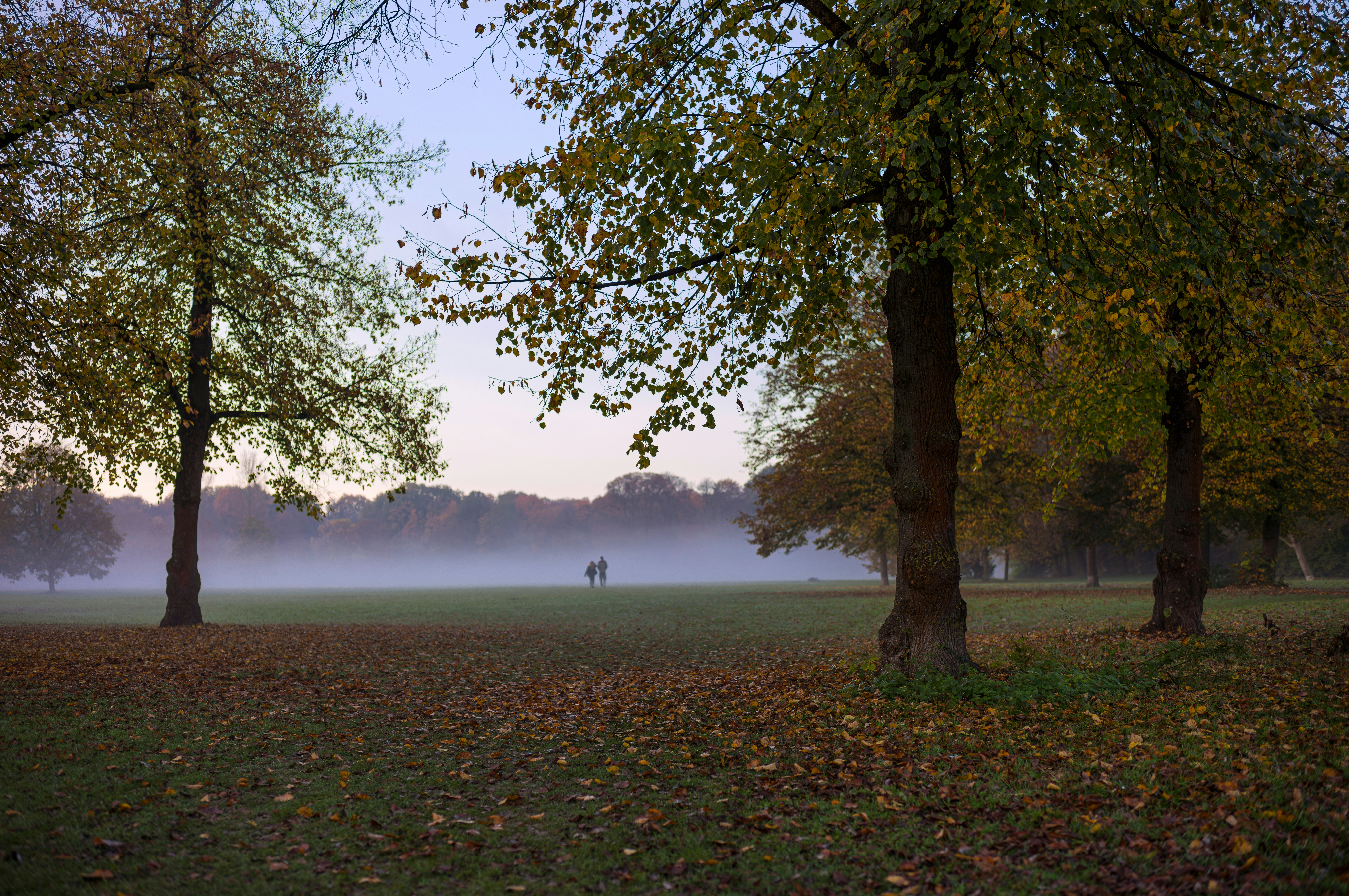 Photo by dieter_muenchen