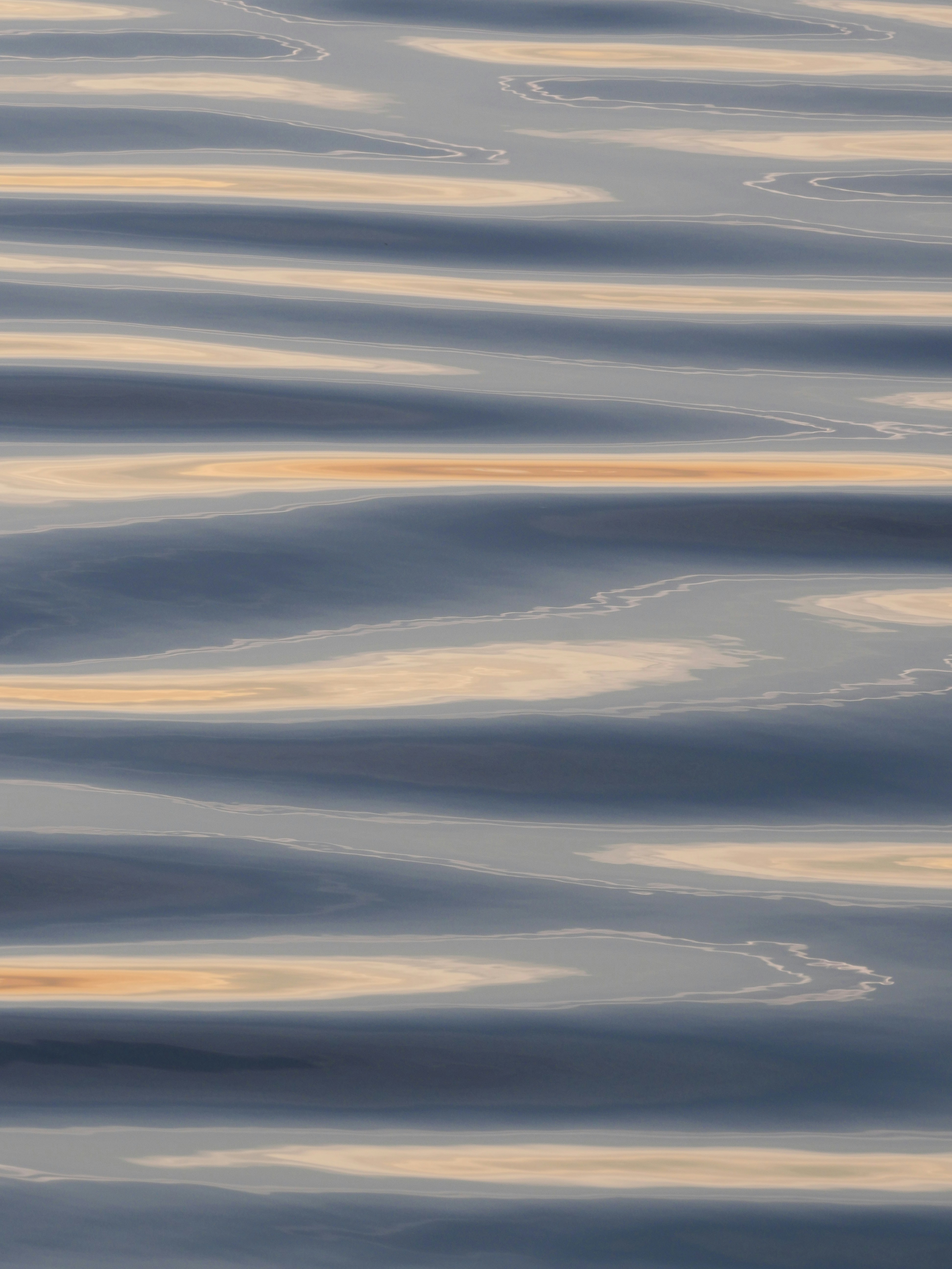 Photo by nimbus_vulpis