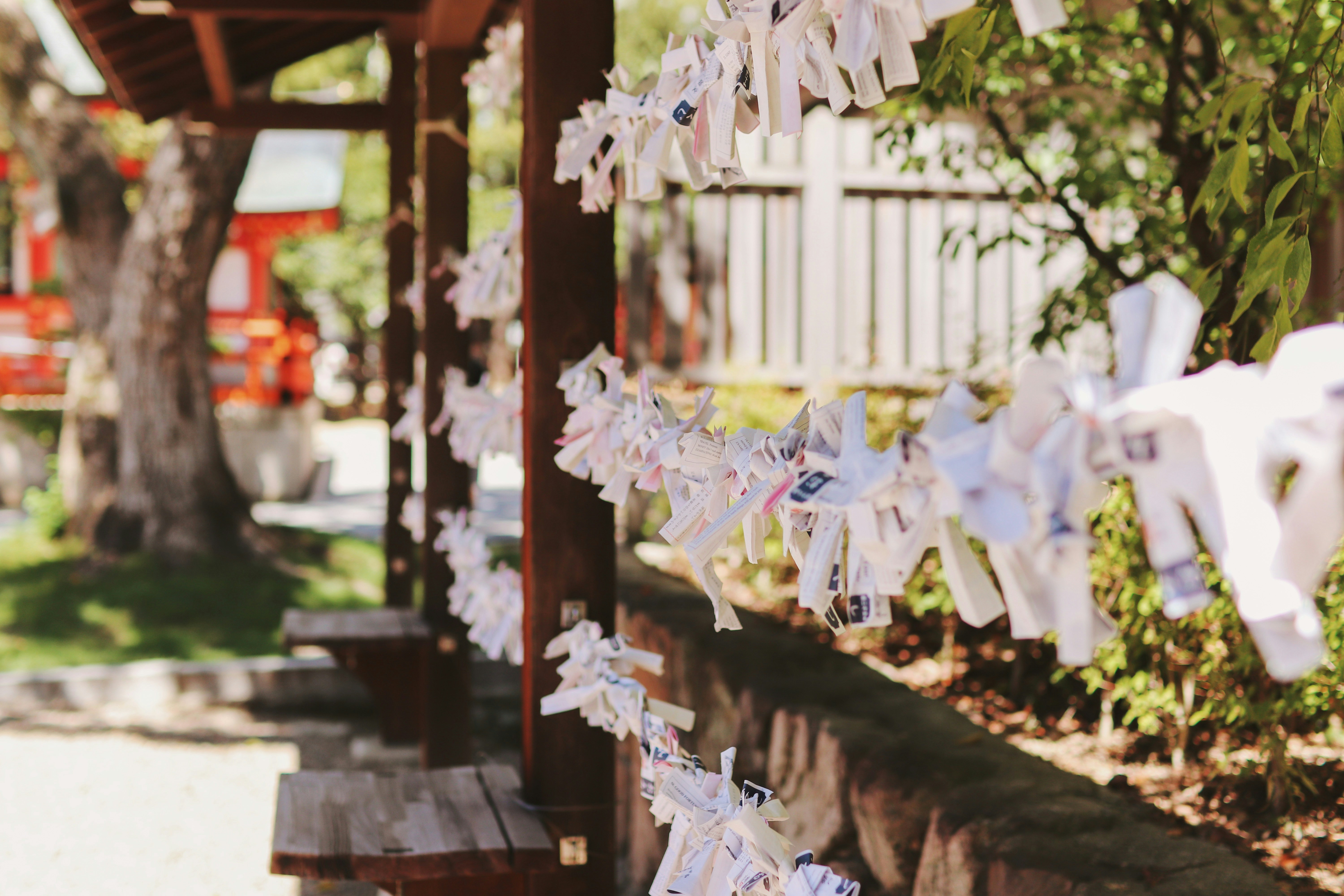 A wooden bench sitting next to a wooden fence, O-mikuji (御御籤) paper fortunes tied and left behind at Ikuta Shrine 生田神社 (Kobe, Japan).