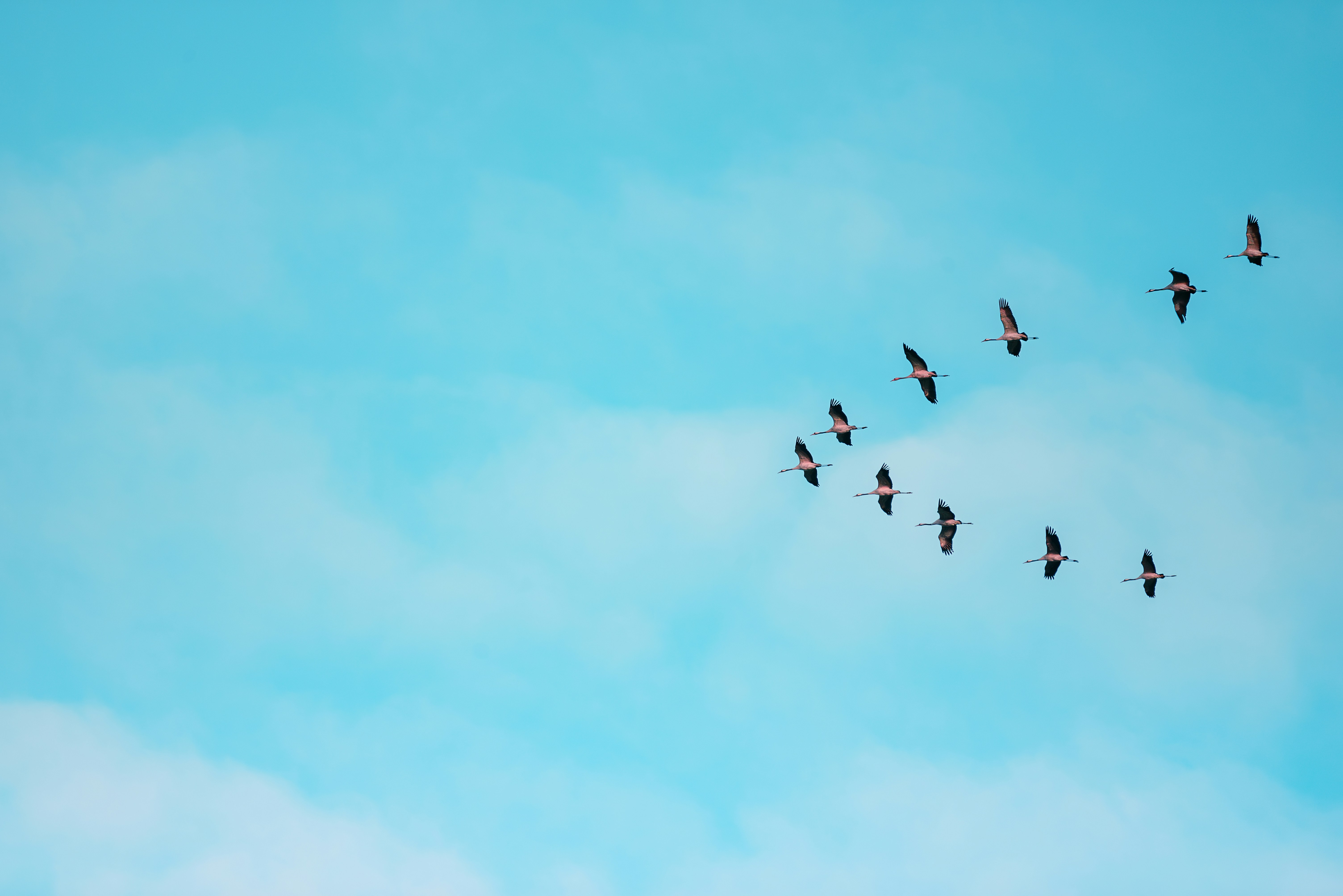 Photo by jetztabertempo