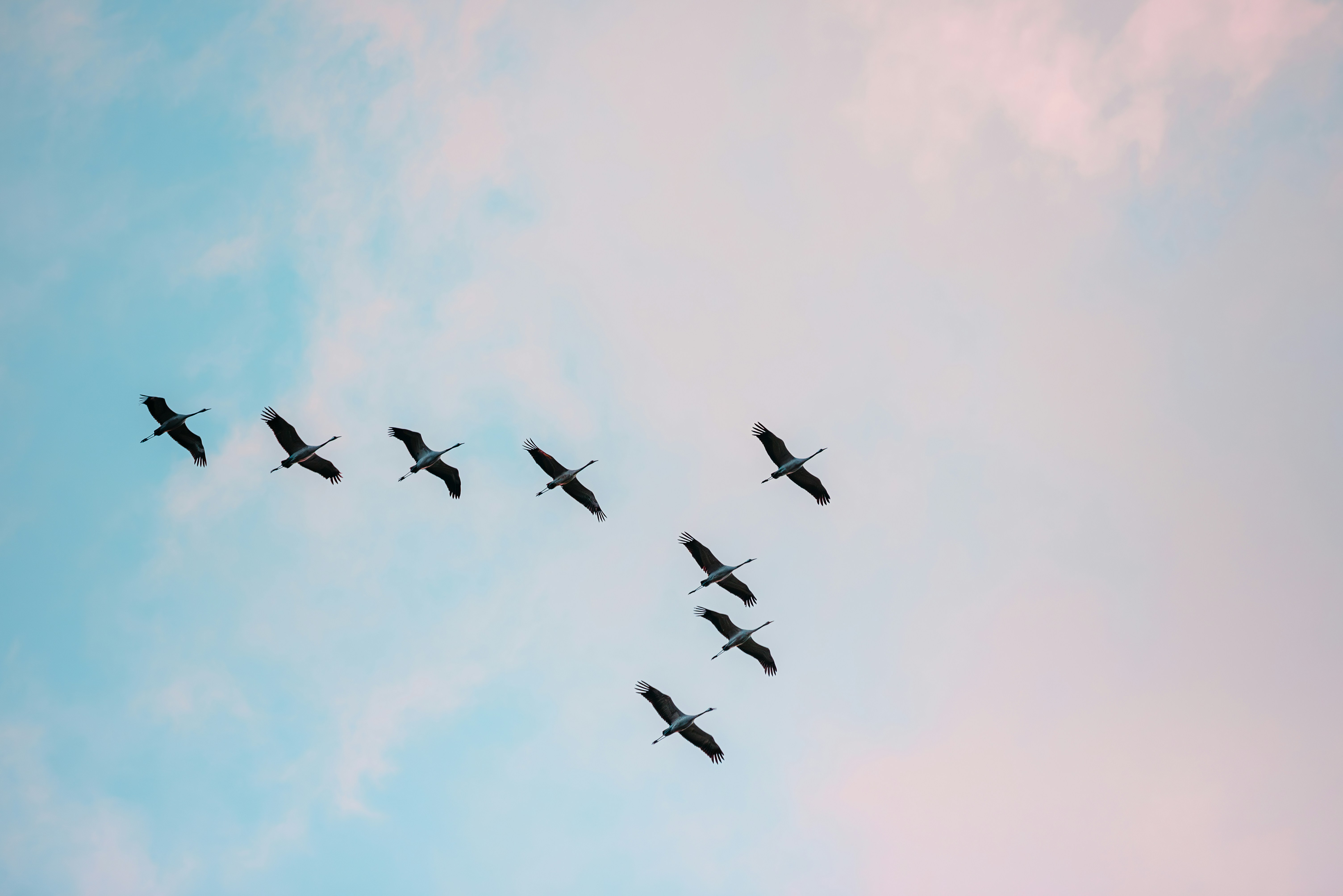 Photo by jetztabertempo