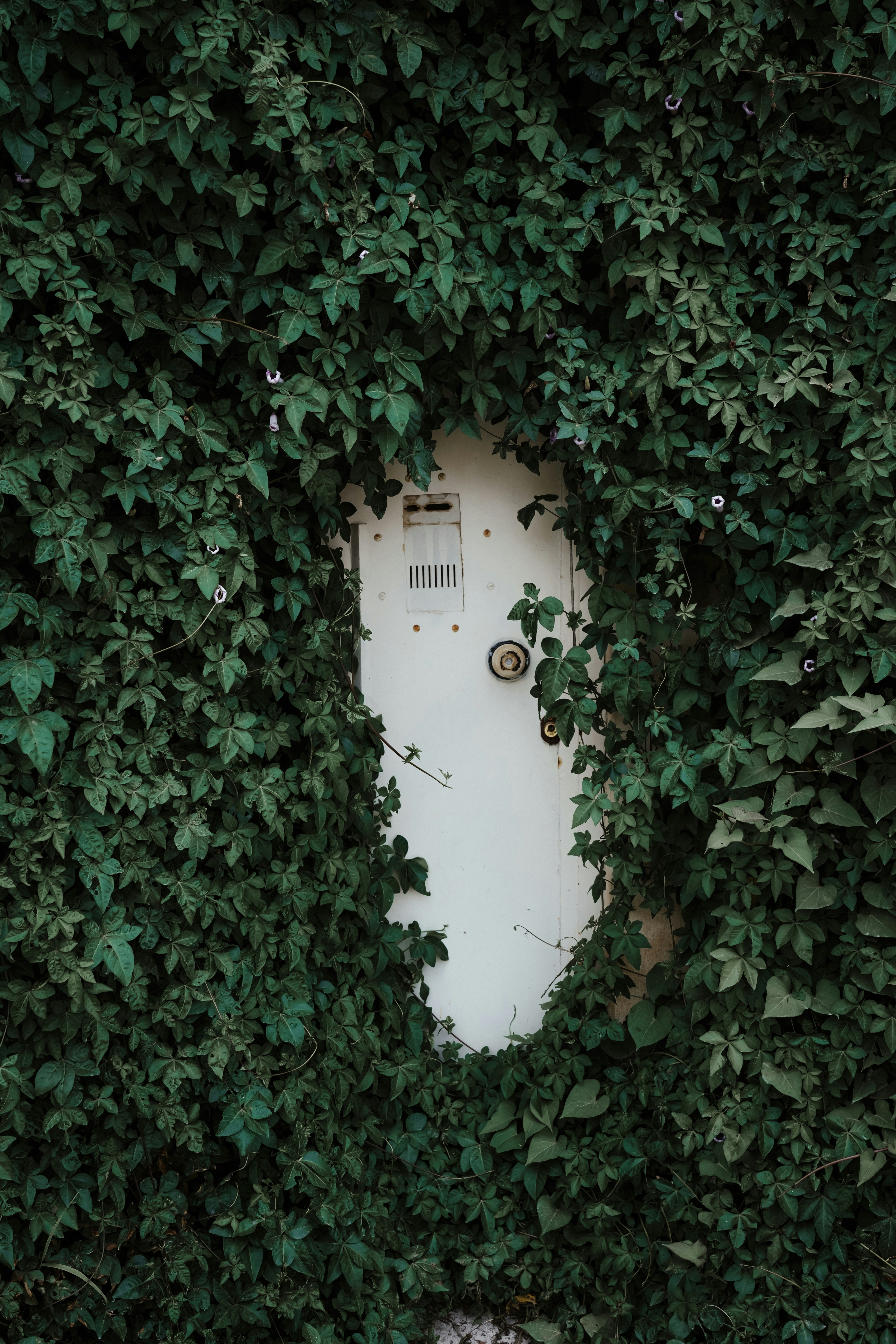 Photo by moshkforoush