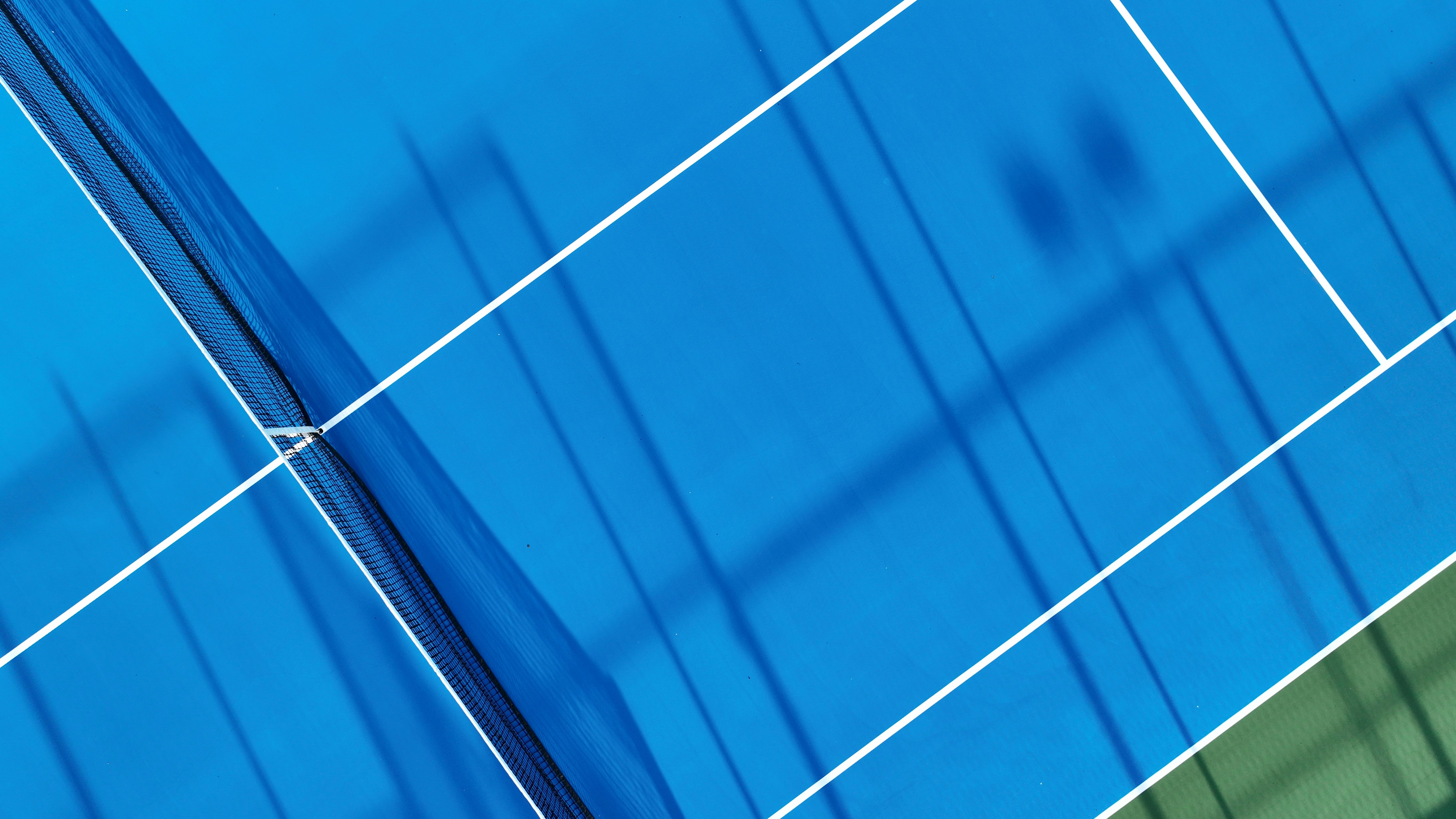 Solar Stocks Surge as AI's Power Thirst Creates New Demand