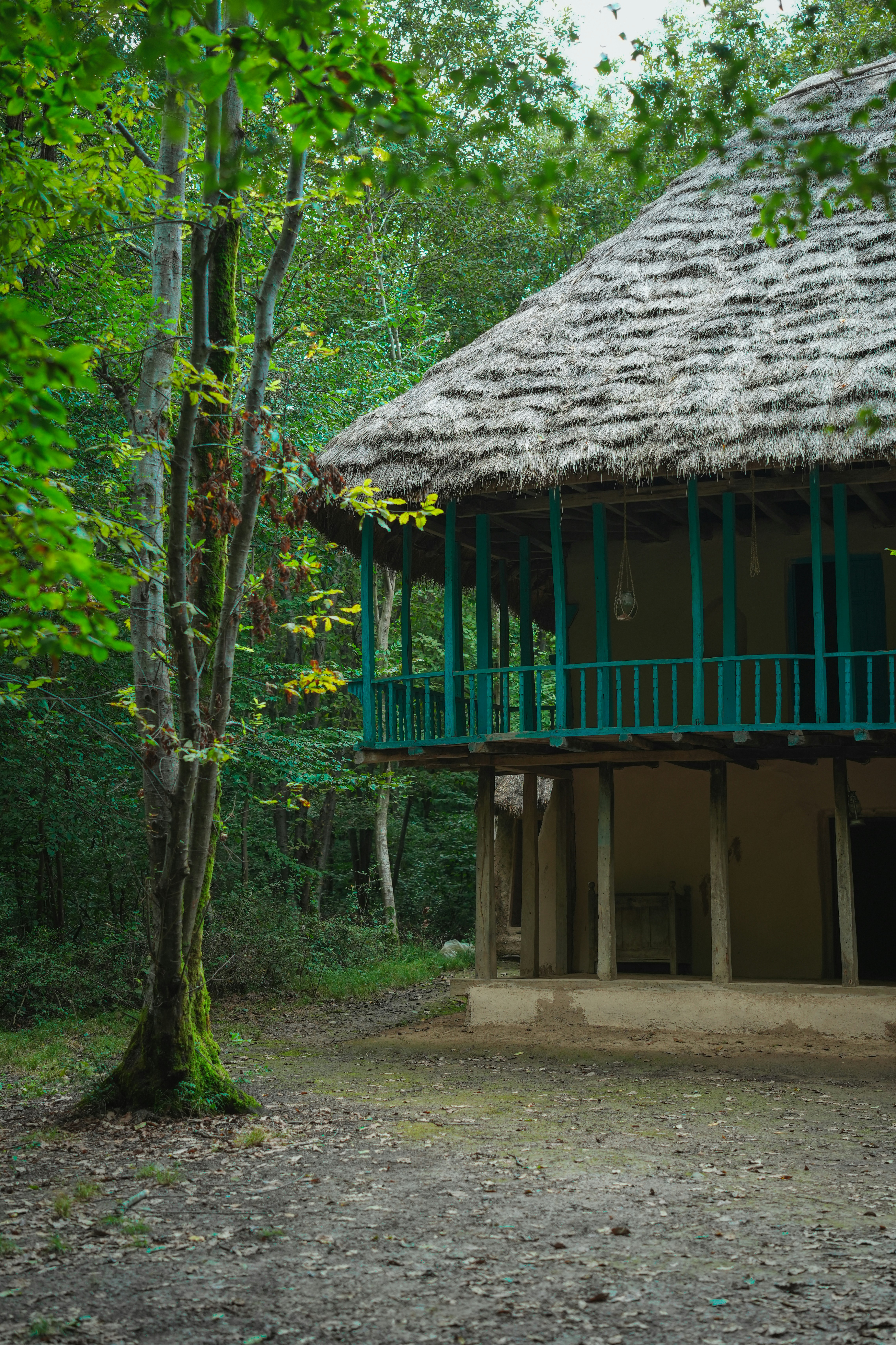 Photo by moshkforoush