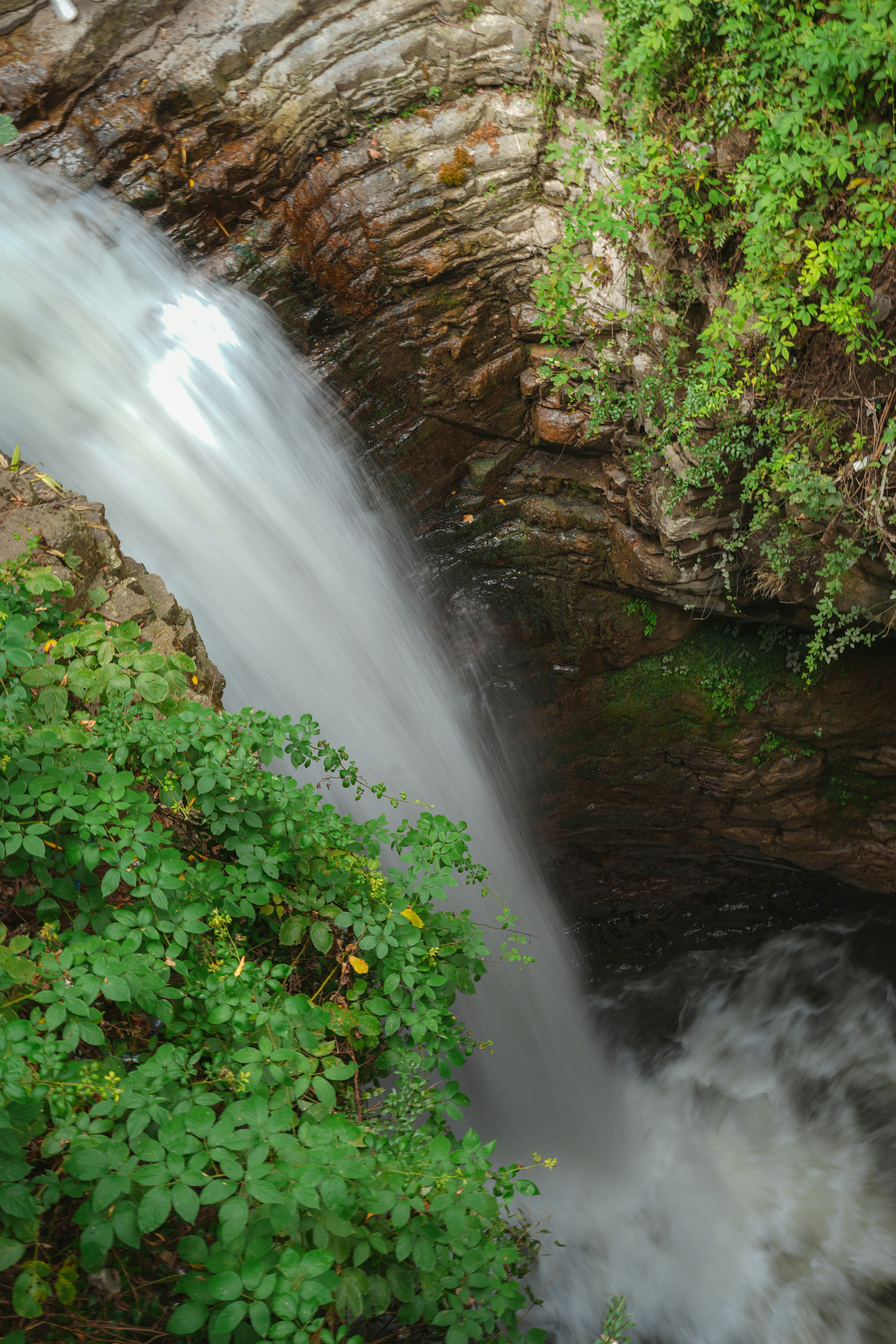 Photo by moshkforoush