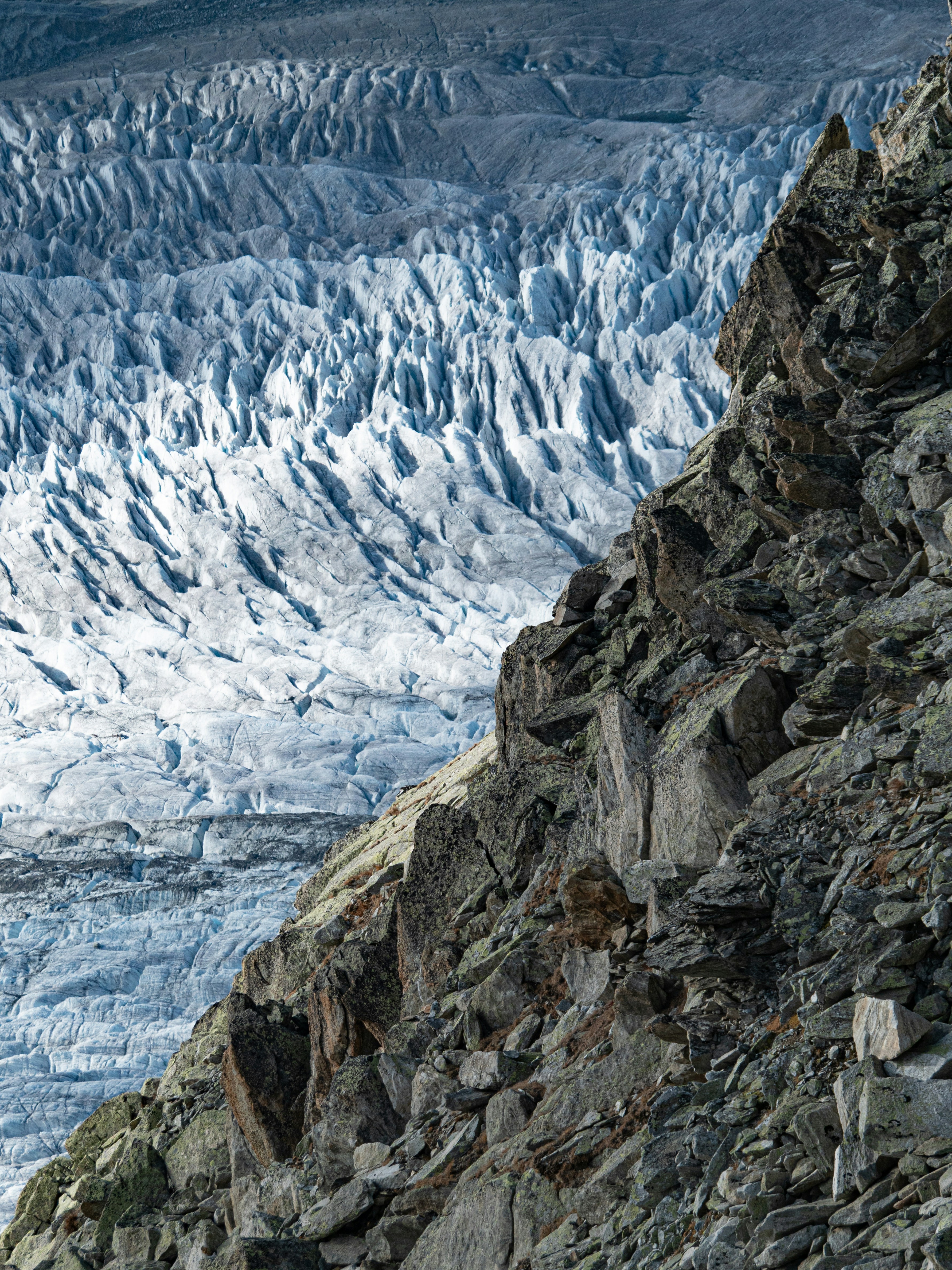 Photo by poli_graphy