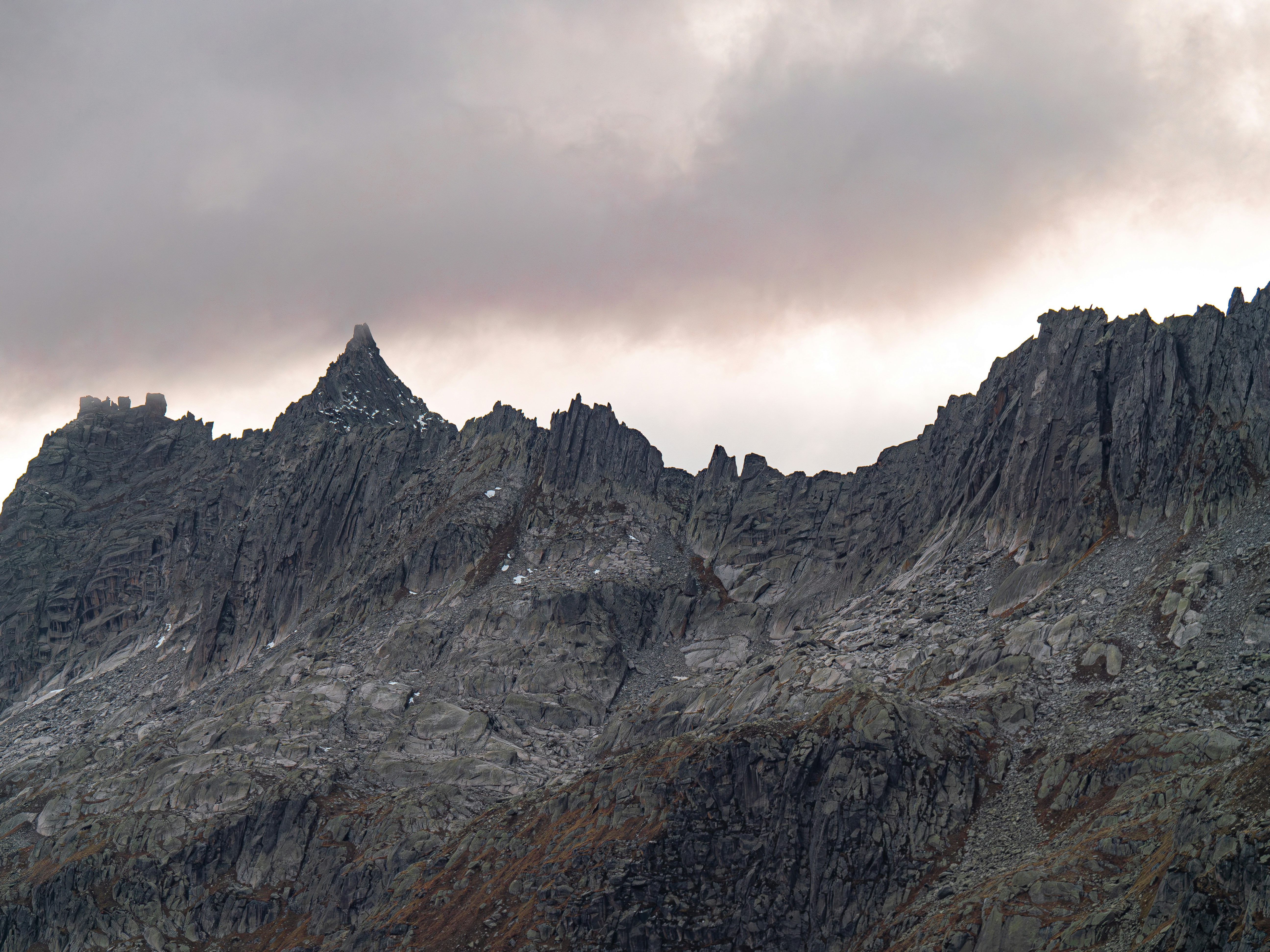 Photo by poli_graphy