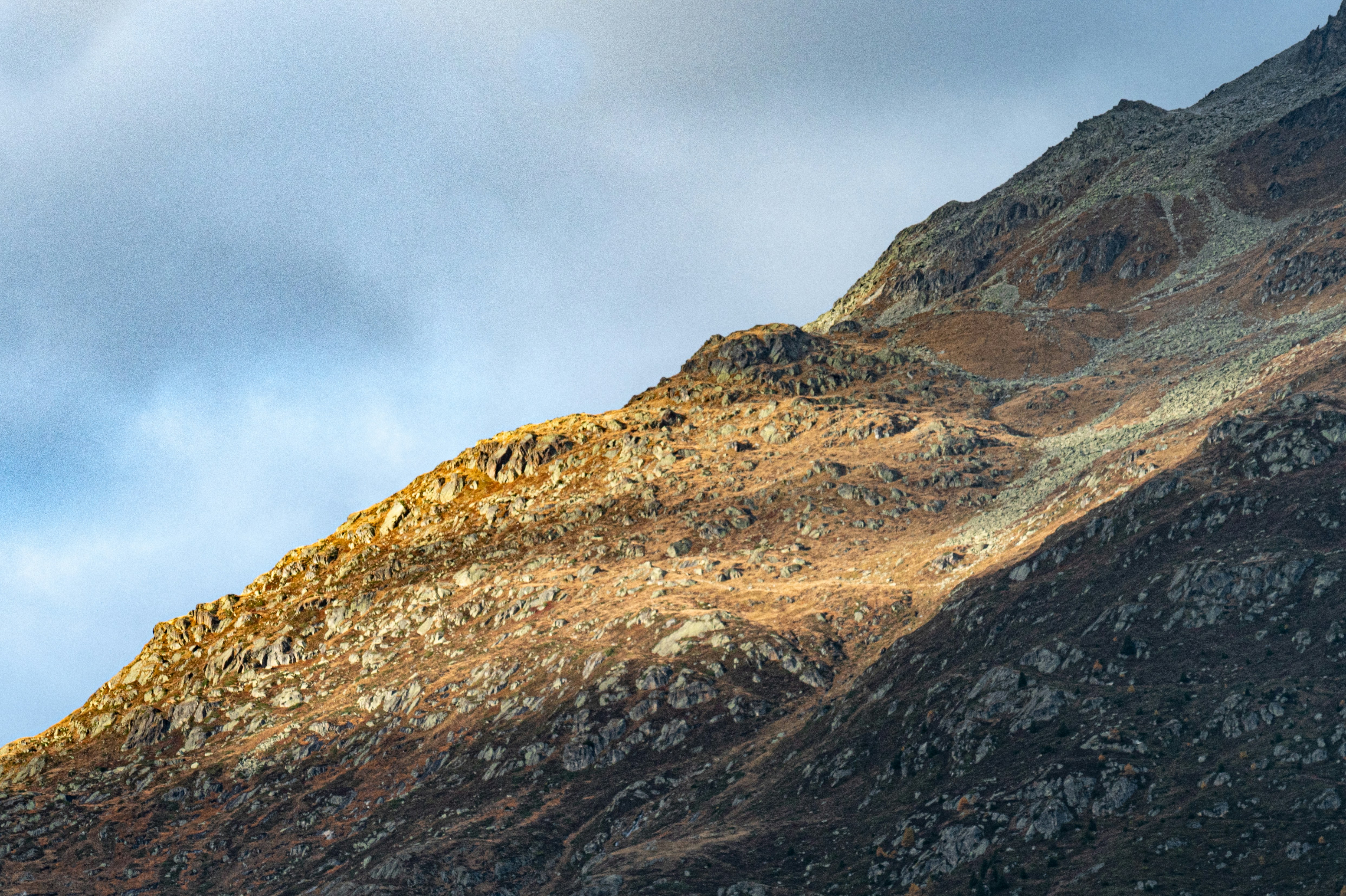 Photo by poli_graphy