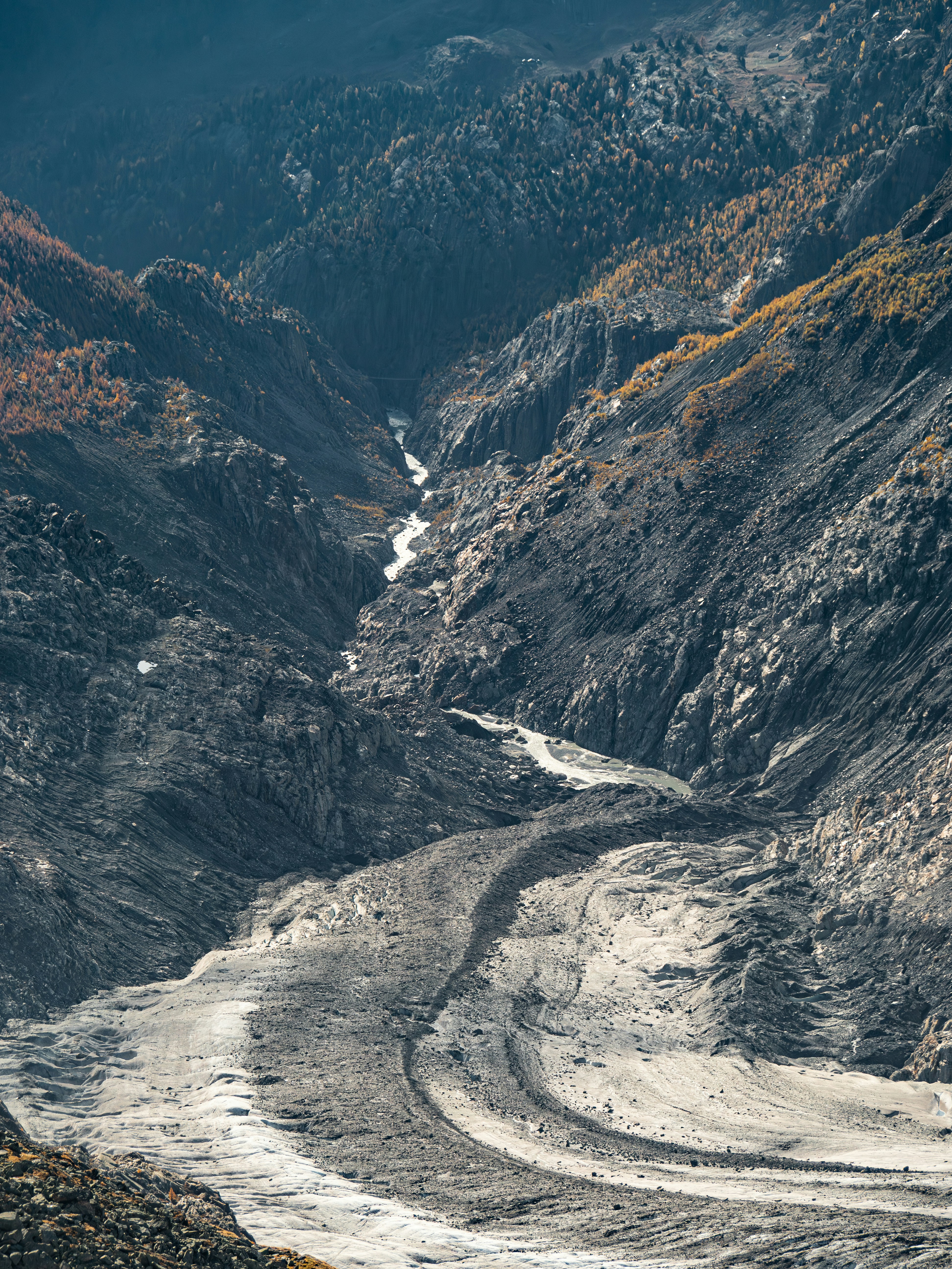 Photo by poli_graphy