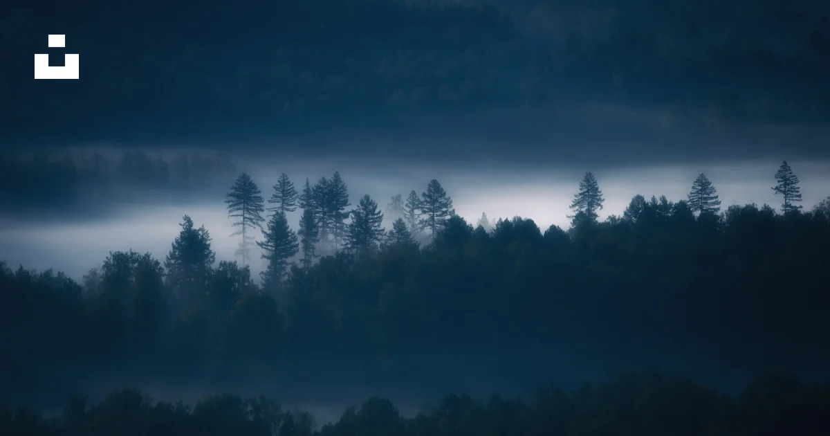 遠くに木々が立ち込める霧の夜の写真 – Unsplashの自然の無料画像