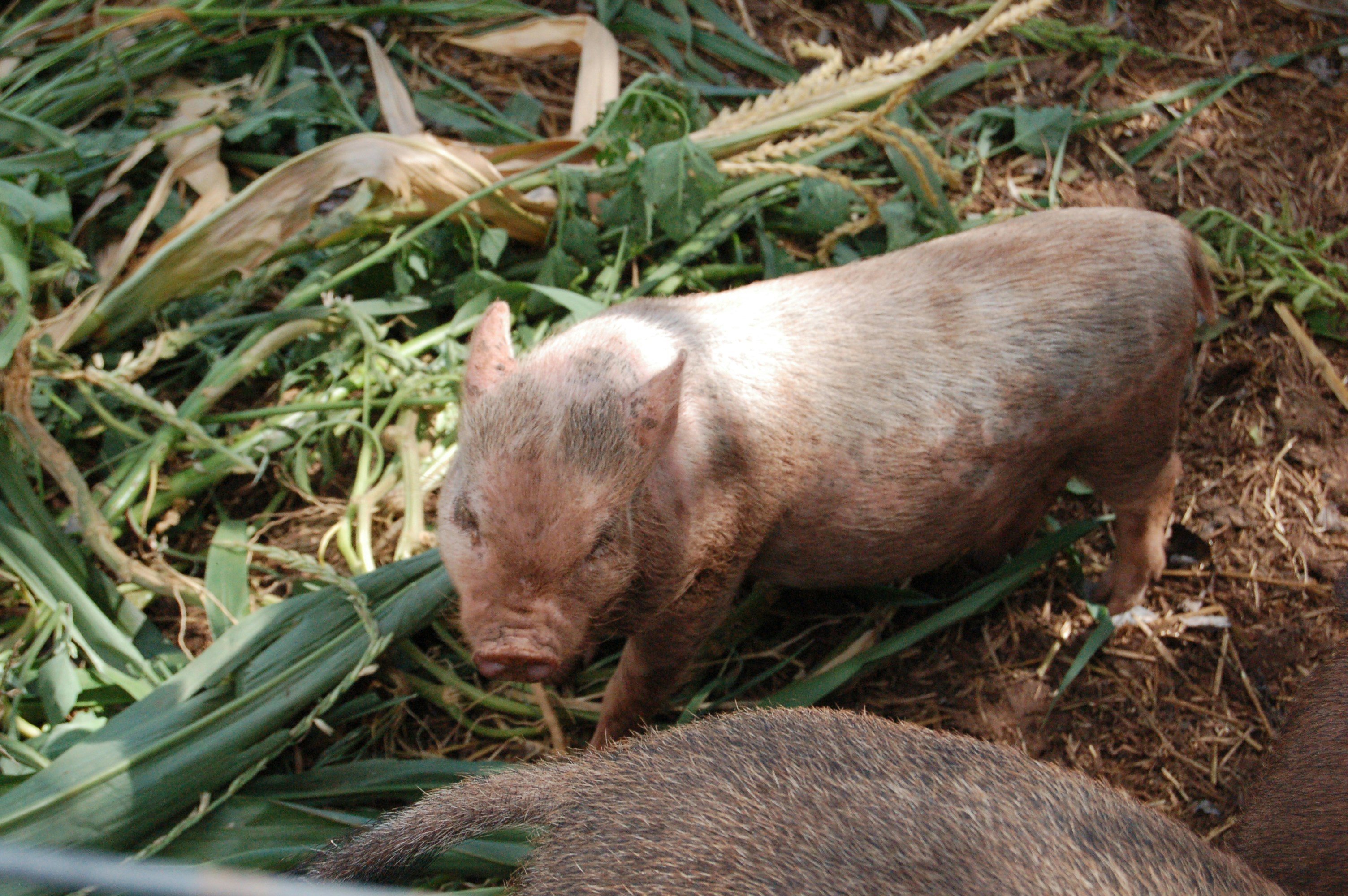 Photo by godsownfool