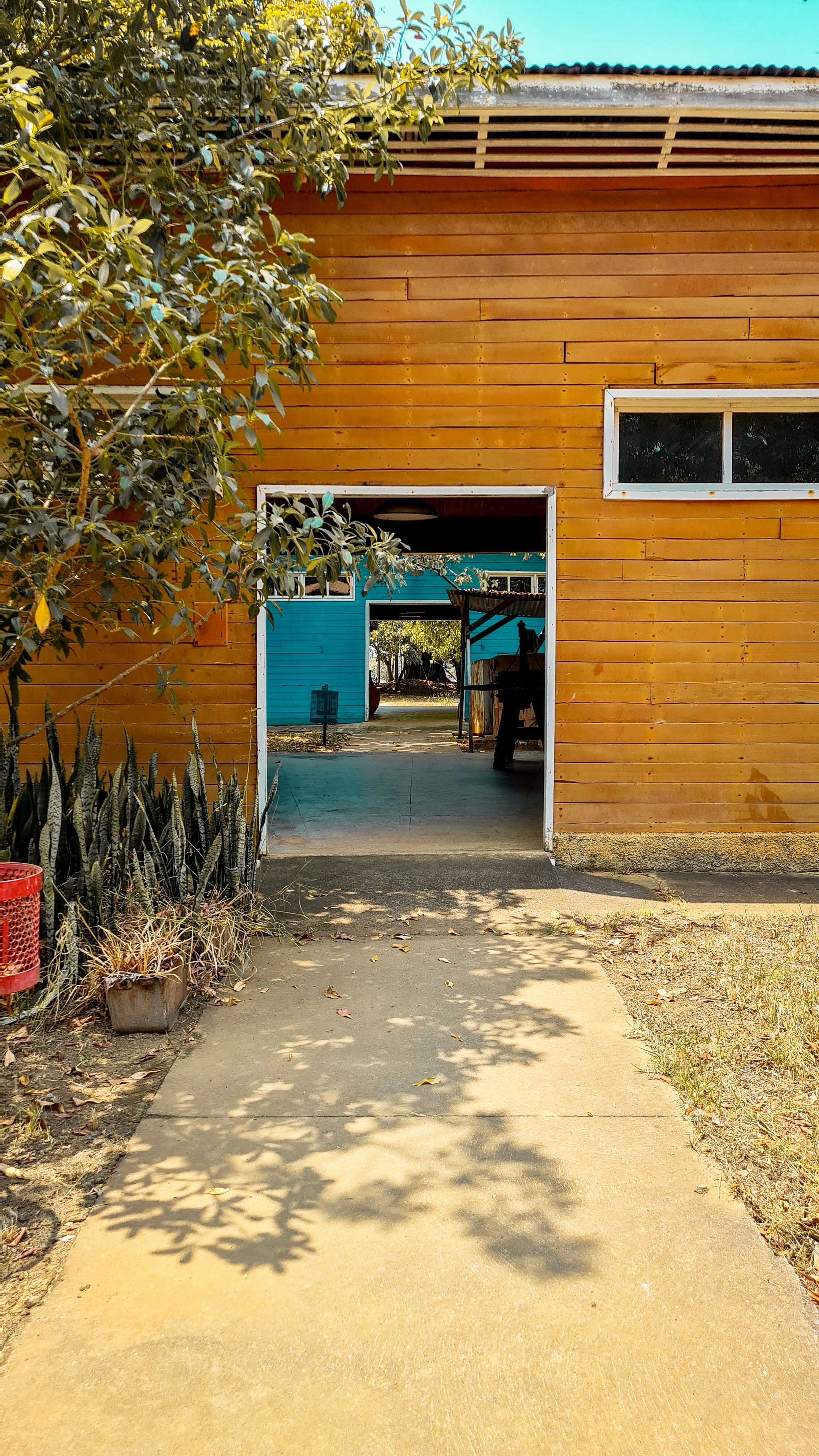 Photo by brbrunabarros