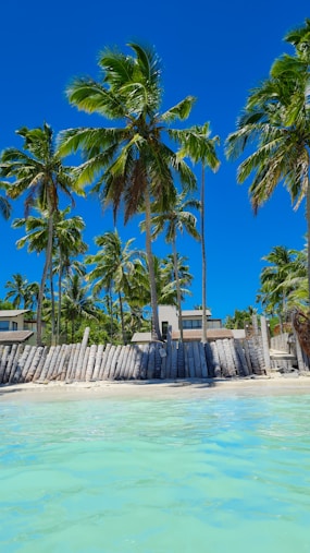 A tropical beach with palm trees in the foreground