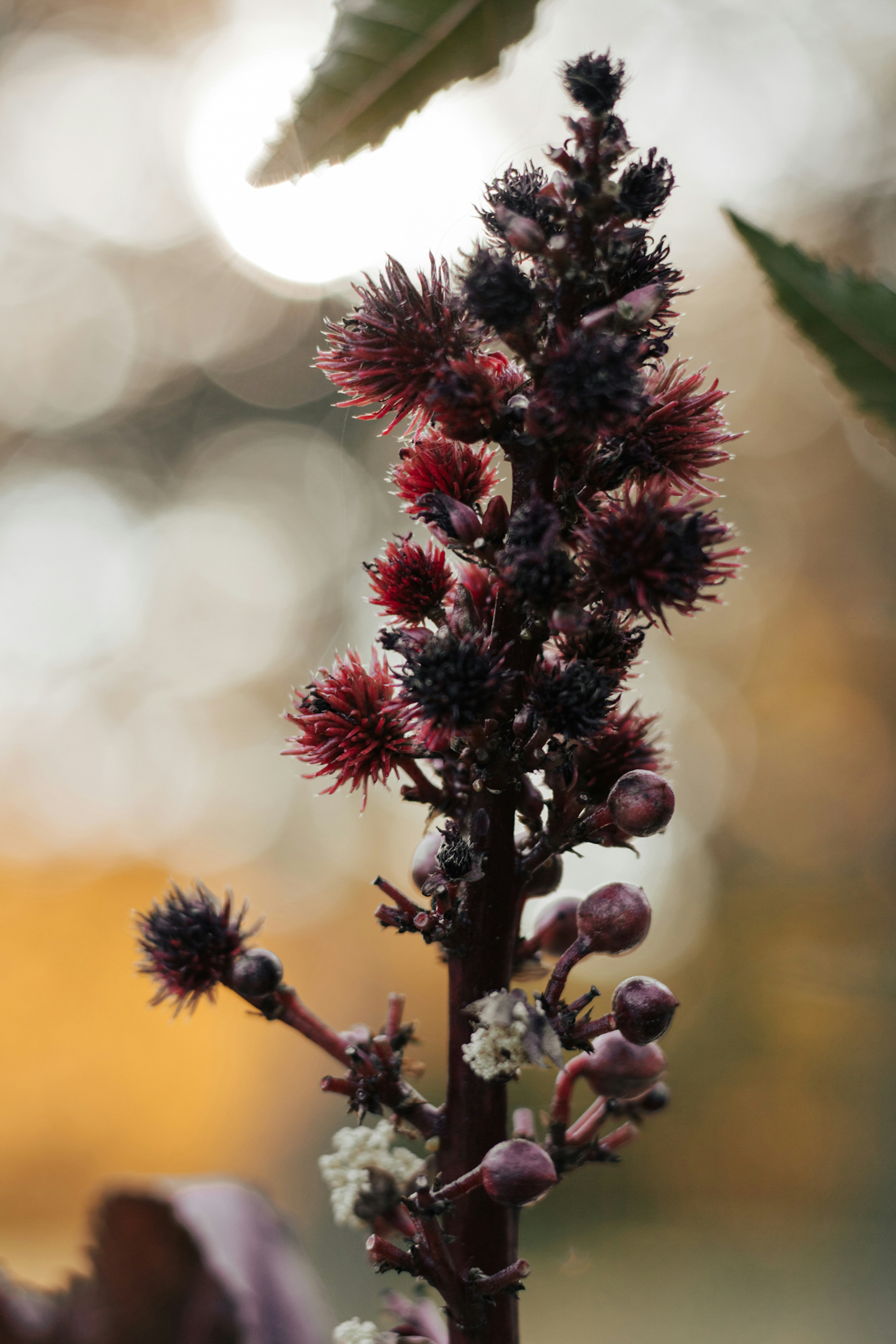 Photo by taliakolecki