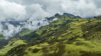 A lush green hillside covered in clouds and grass