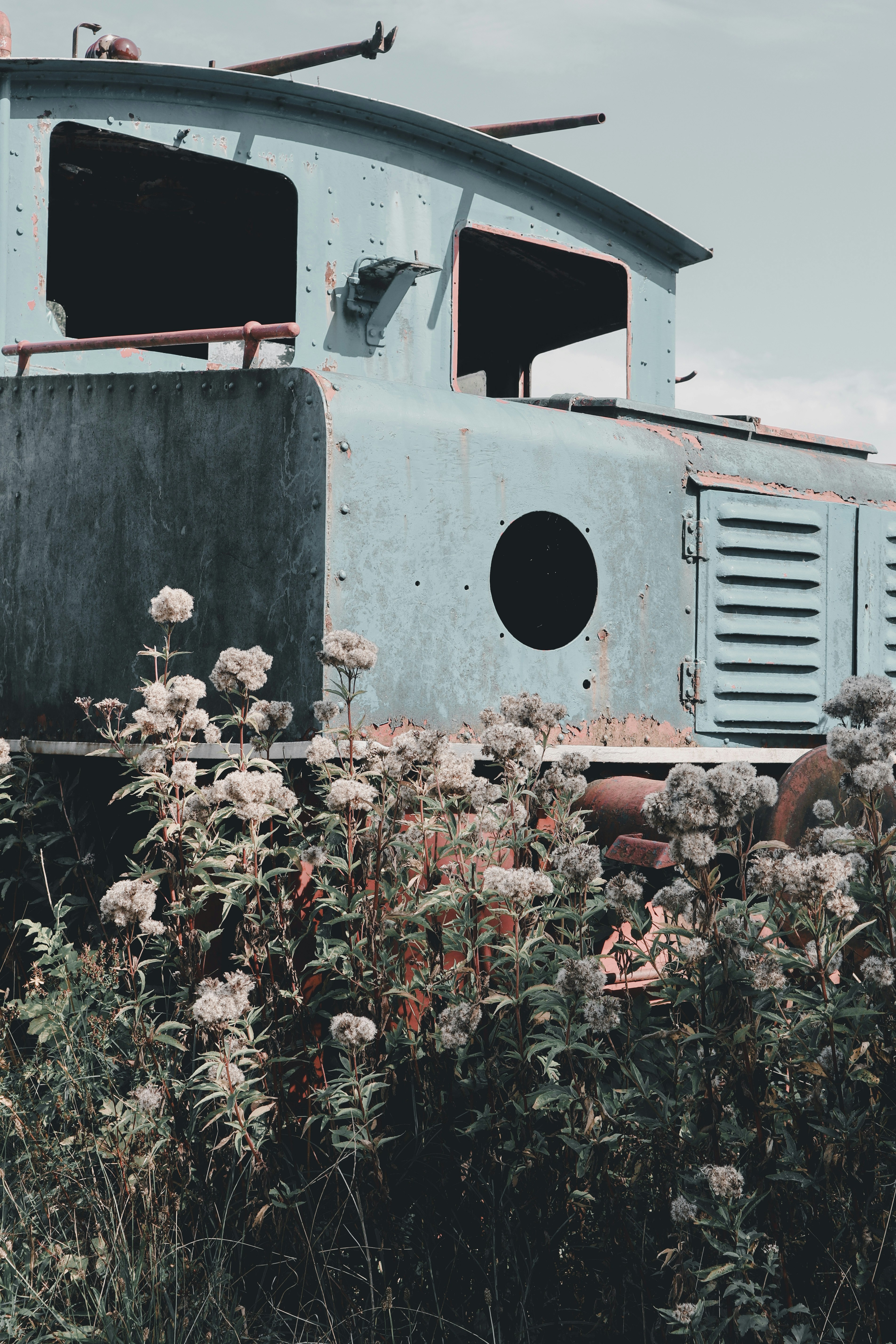 An old train car sitting in a field of flowers