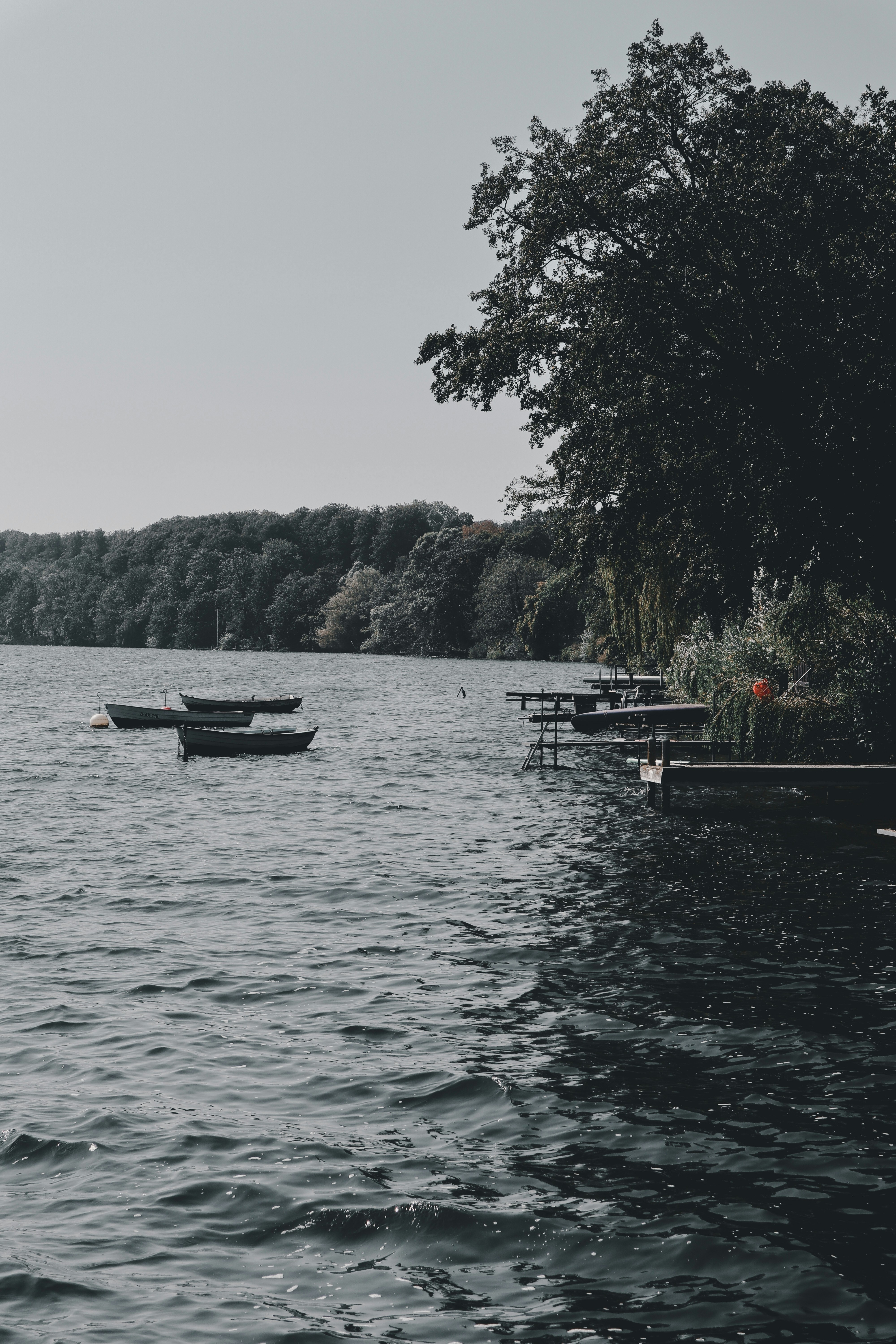 Photo by leakatharinafr