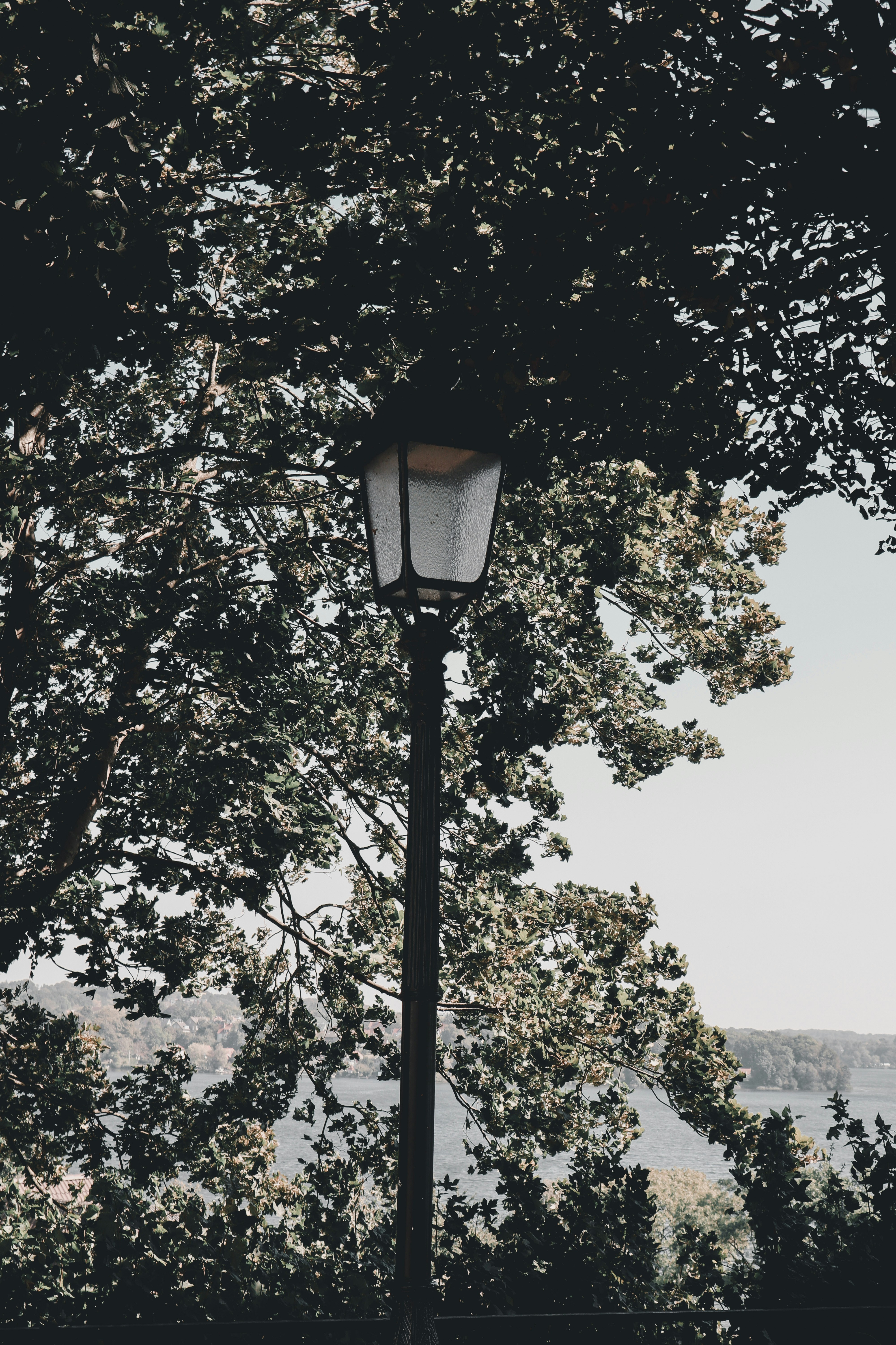 Photo by leakatharinafr