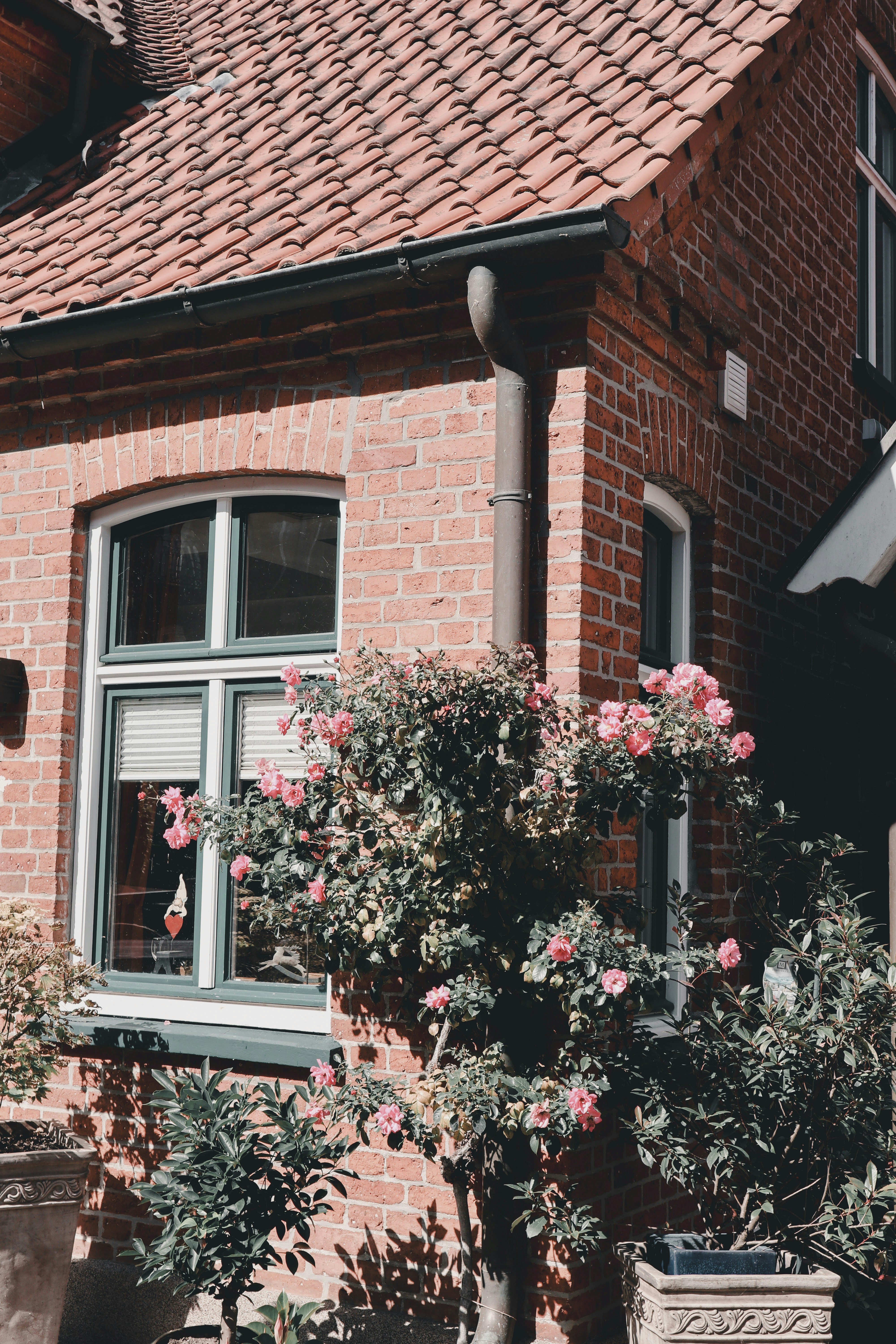 Photo by leakatharinafr