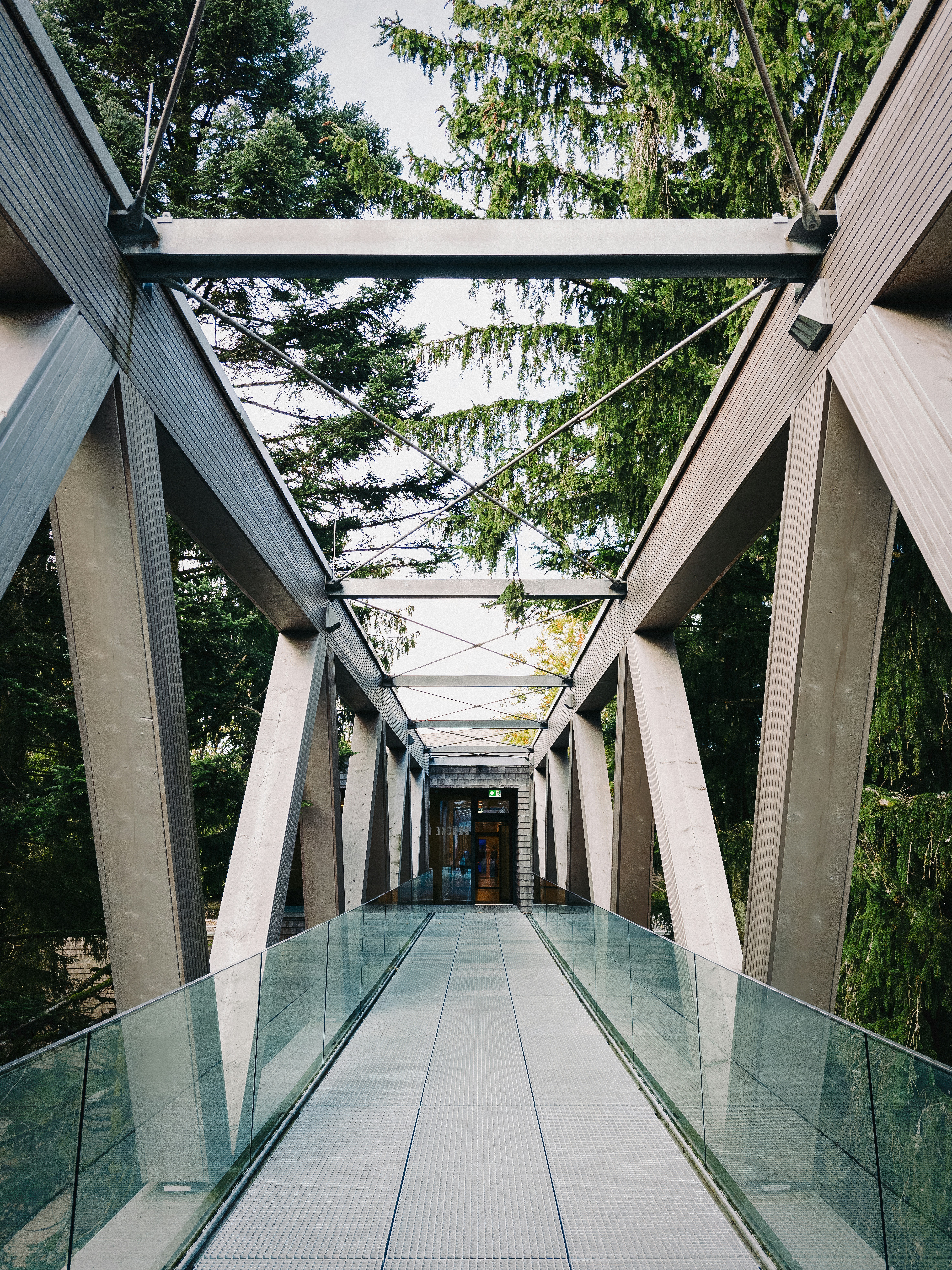 Uma passarela com grades de vidro e árvores ao fundo