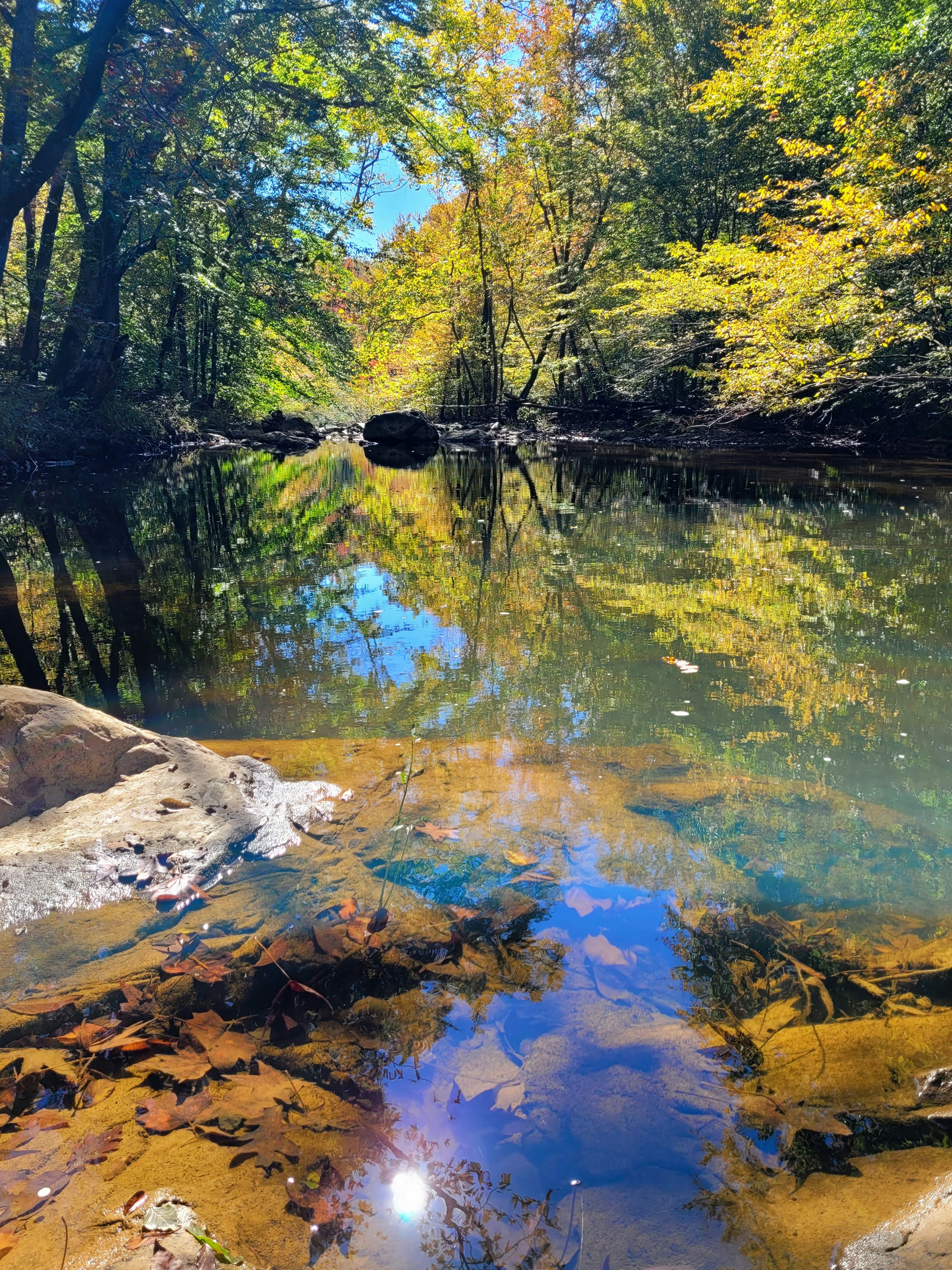 Small creek winding through autumn forest with reflected golden leaves in still water