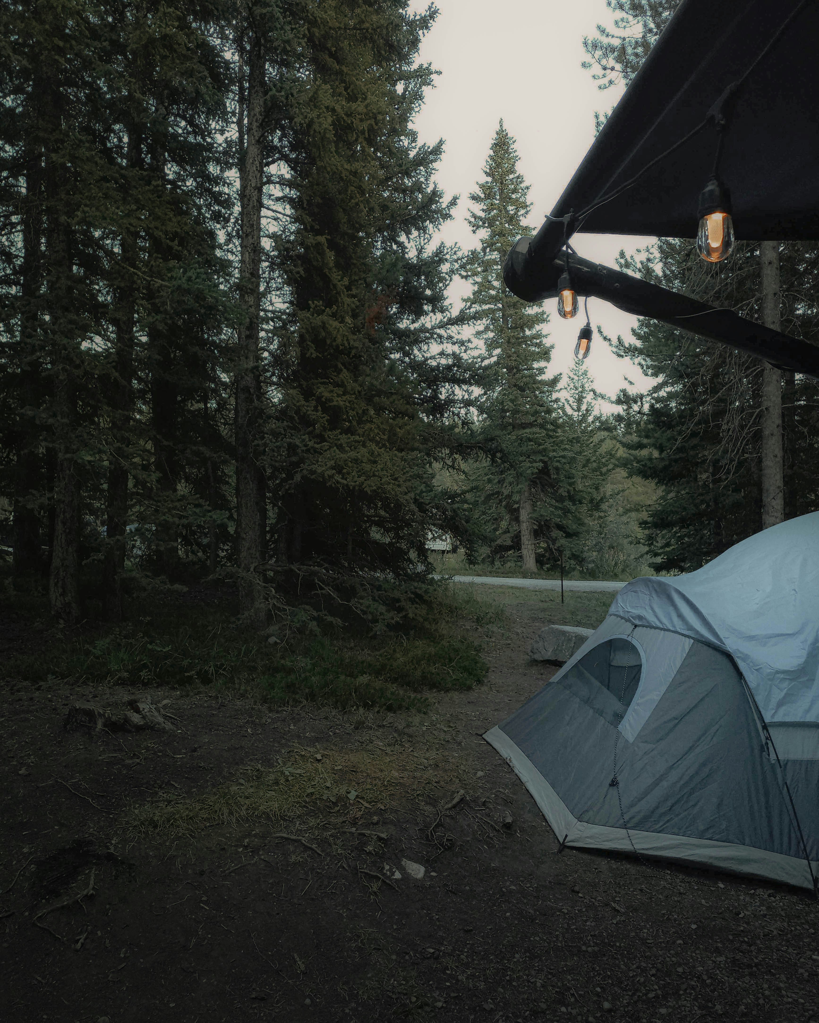 Photo by princewashere