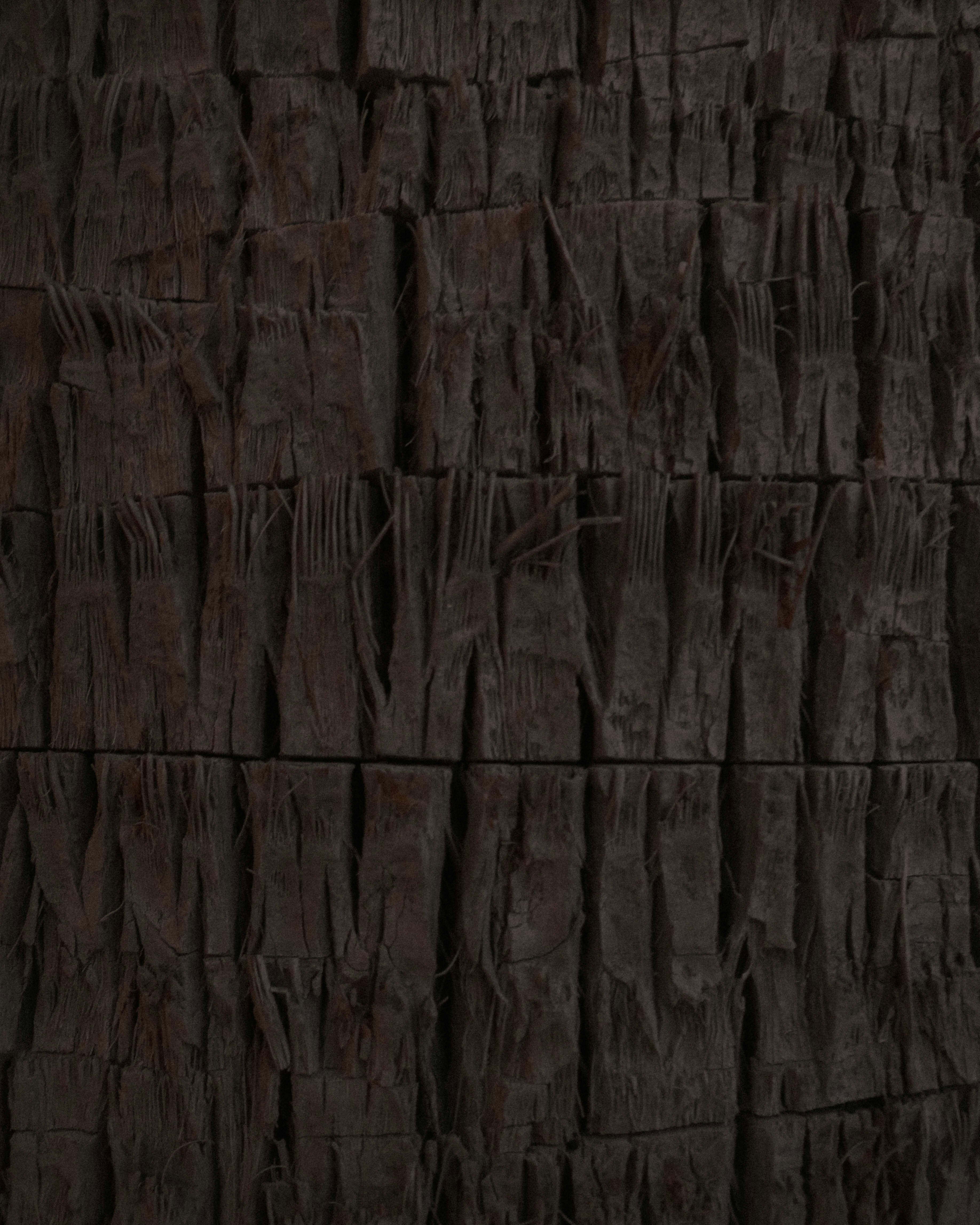 Photo by princewashere