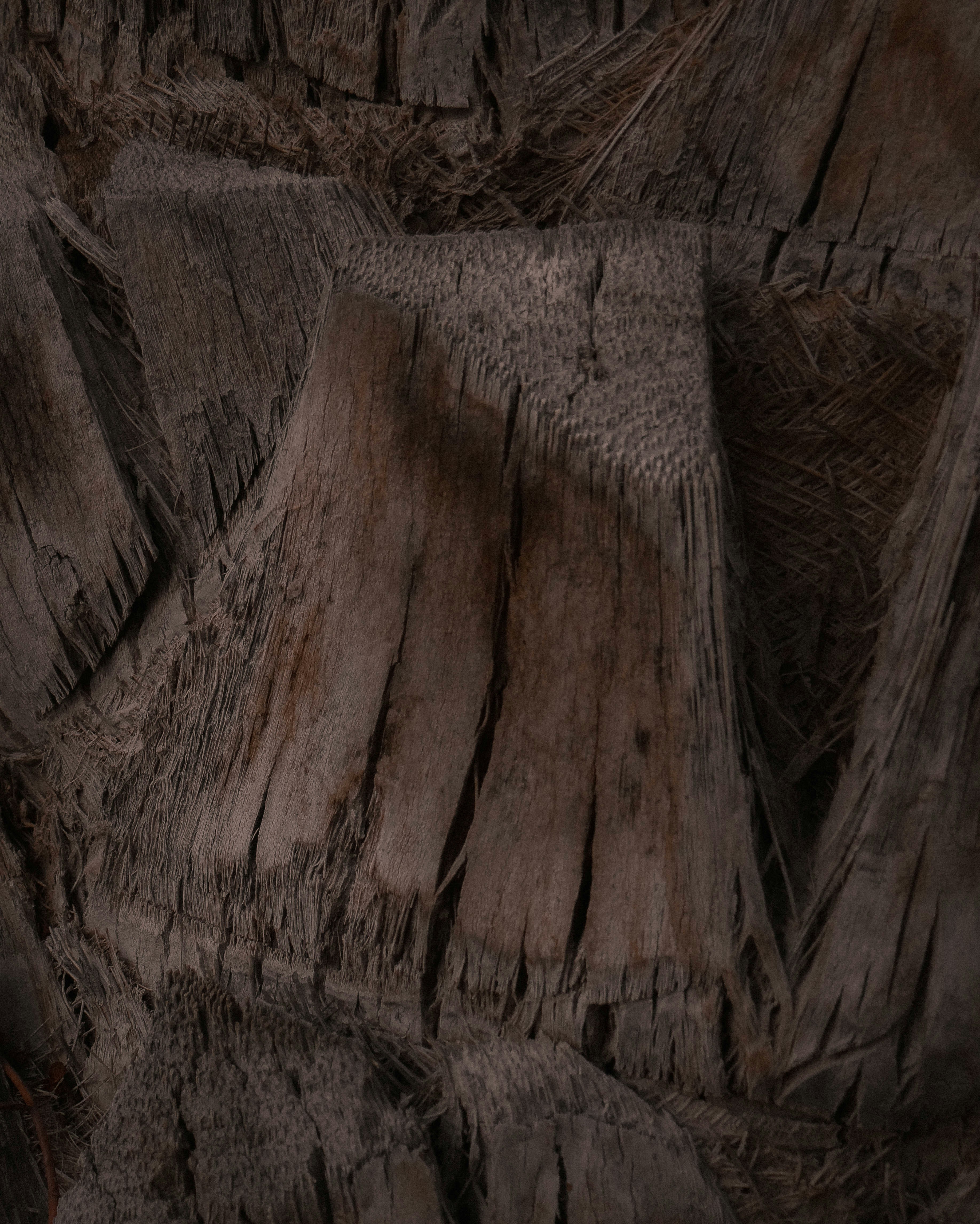 Photo by princewashere