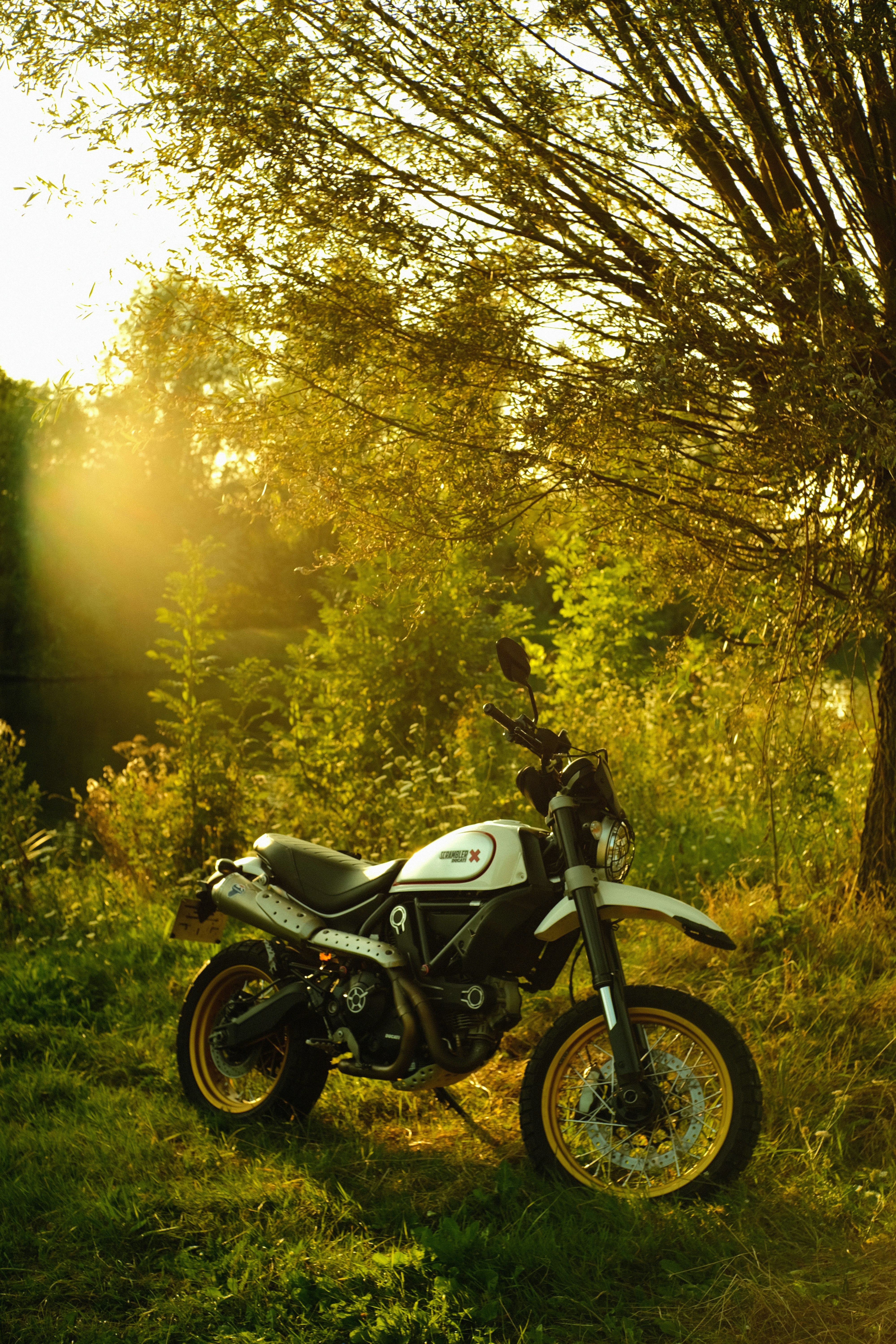 A motorcycle parked in the grass near a tree