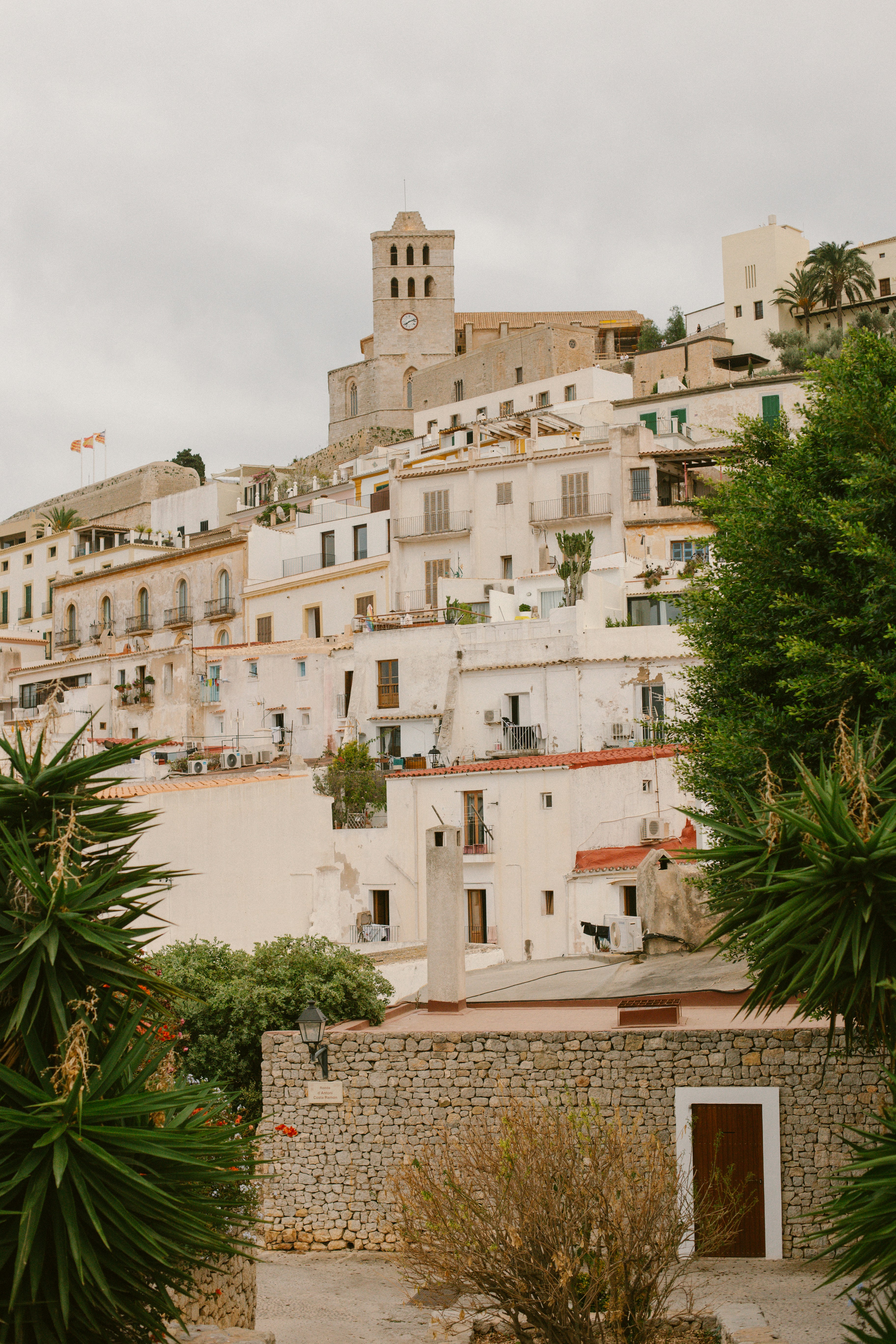 Photo by raymondpetrik