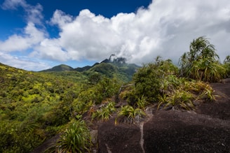 A scenic view of a lush green mountain range
