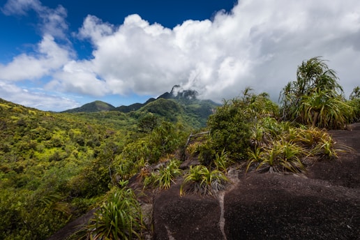 A scenic view of a lush green mountain range