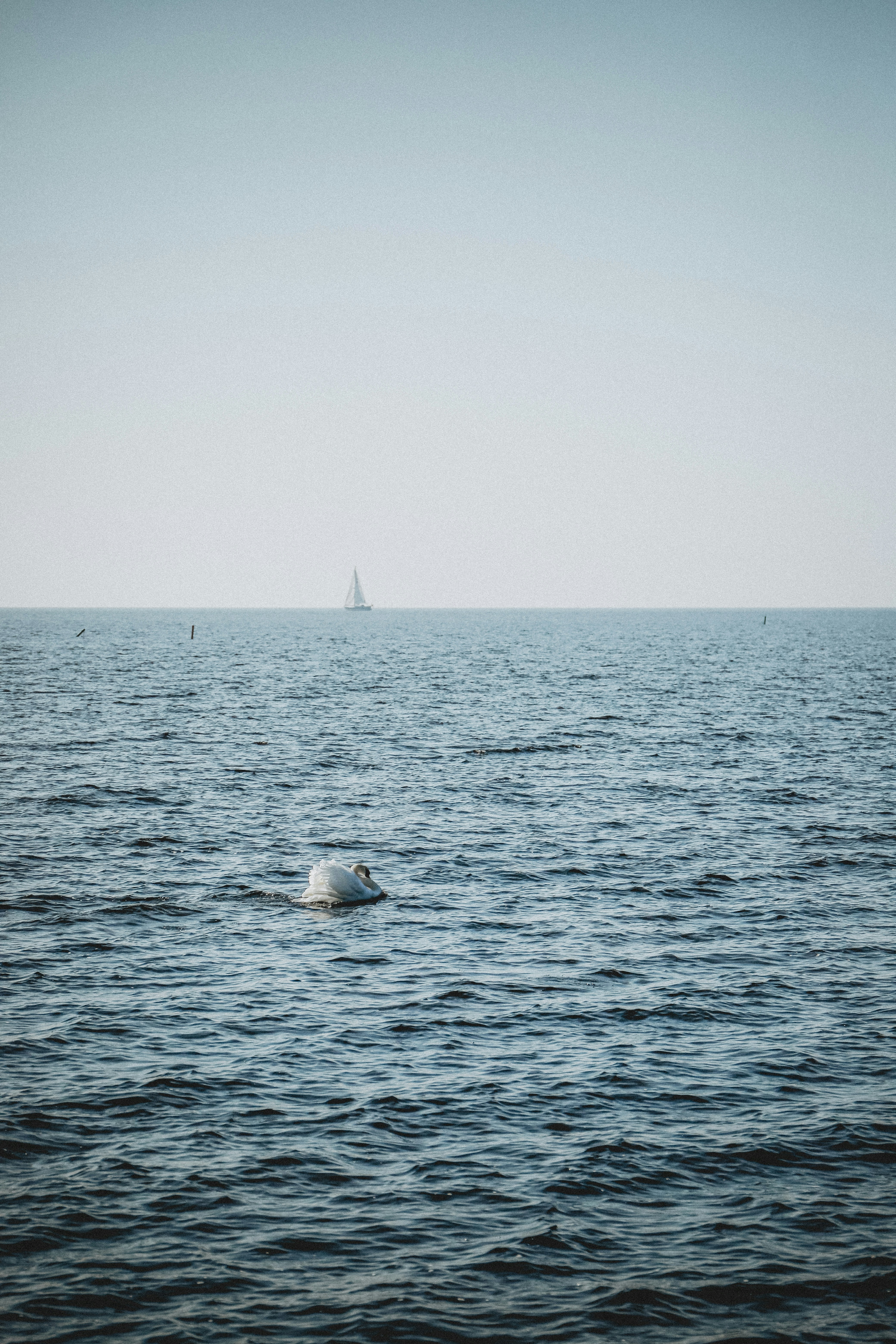 Una gran masa de agua con un barco a lo lejos