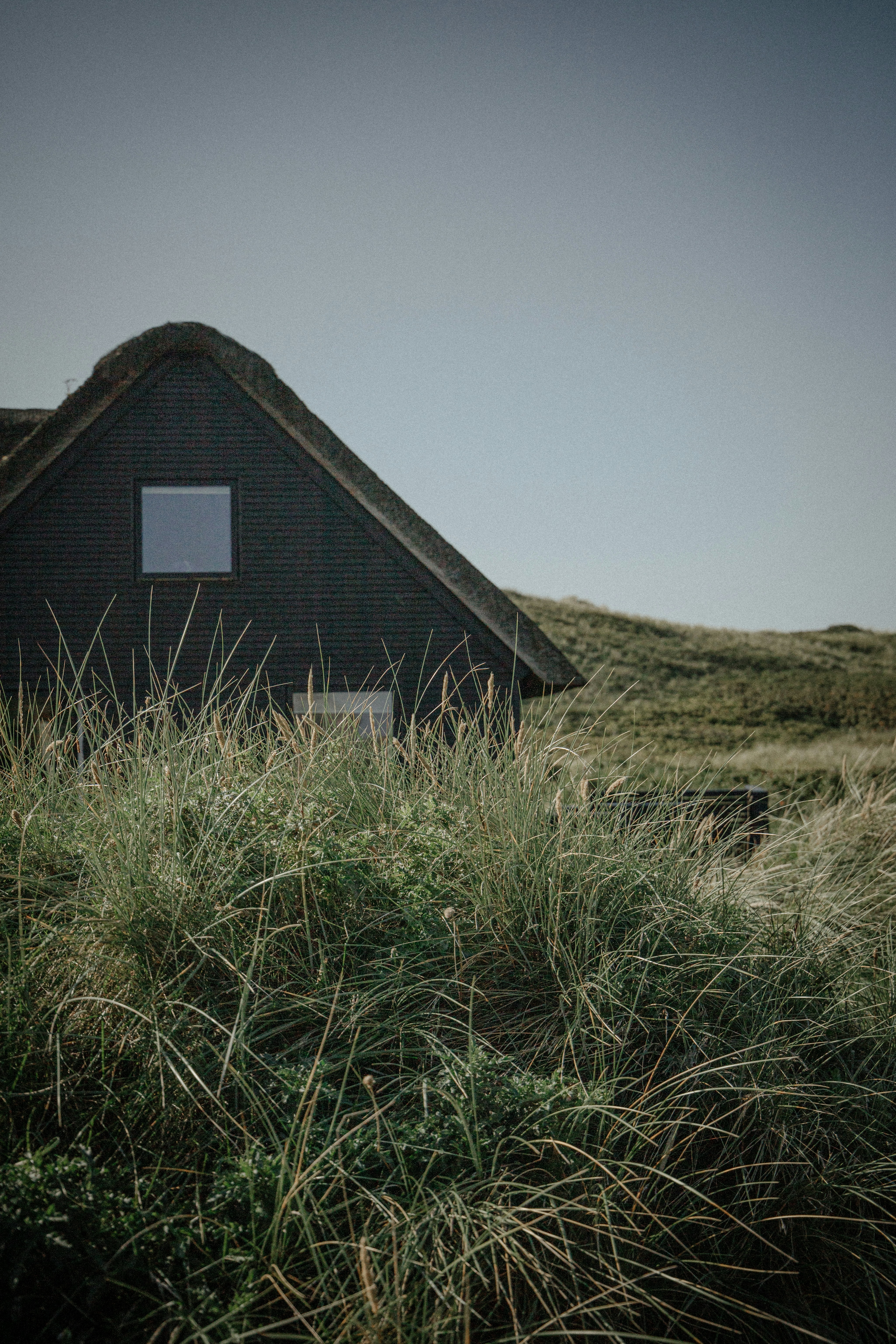 Photo by katharina_bill