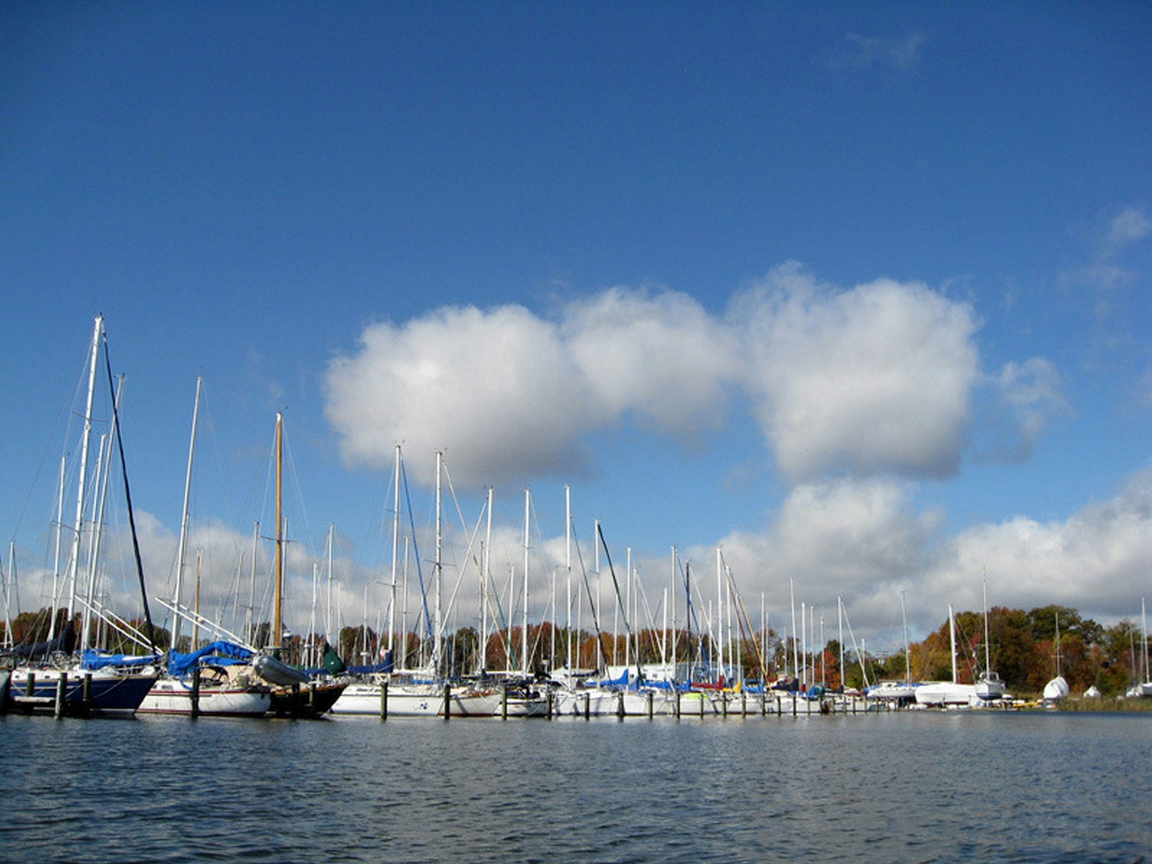 Photo by craazyquilt