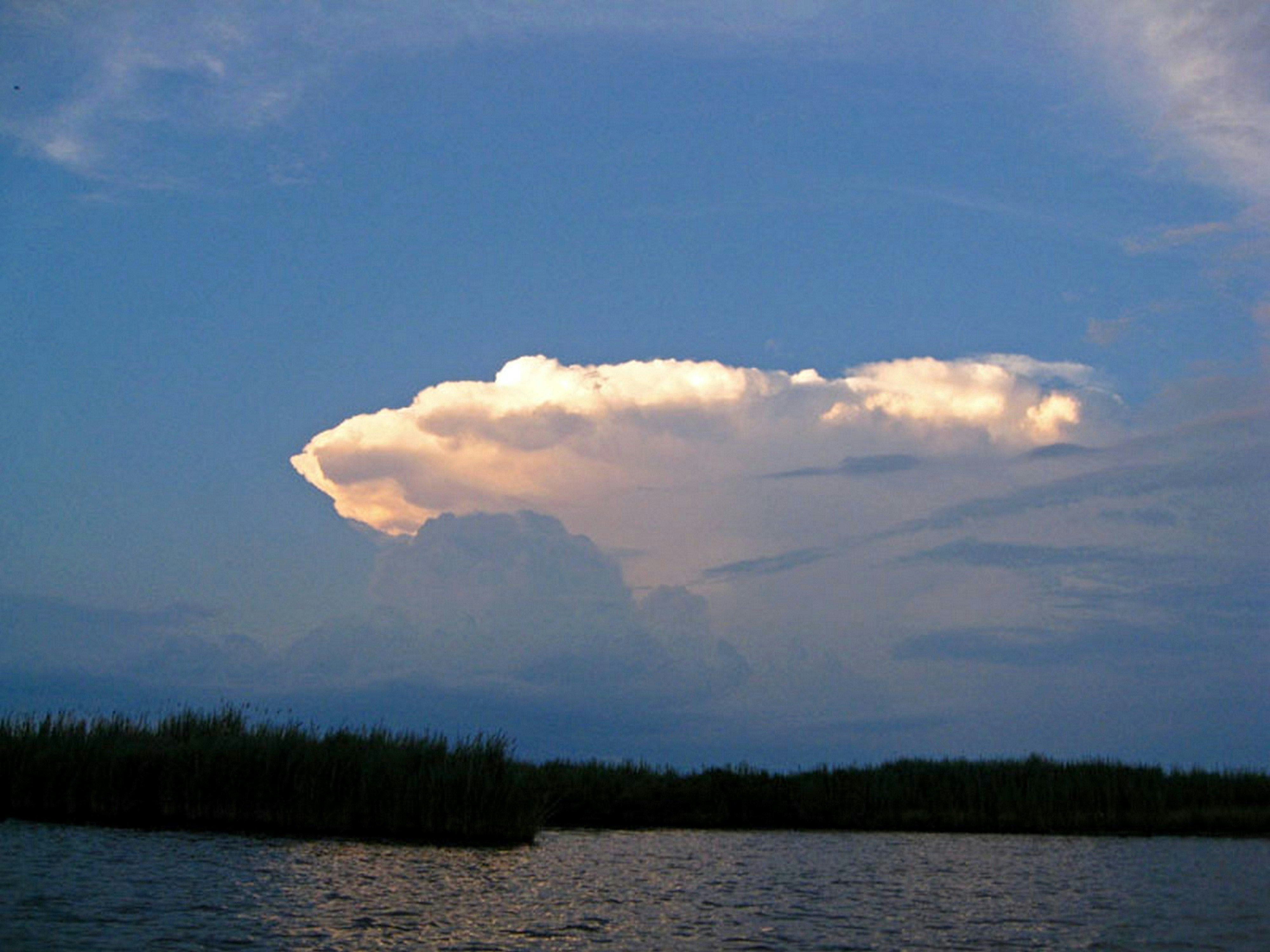 Photo by craazyquilt