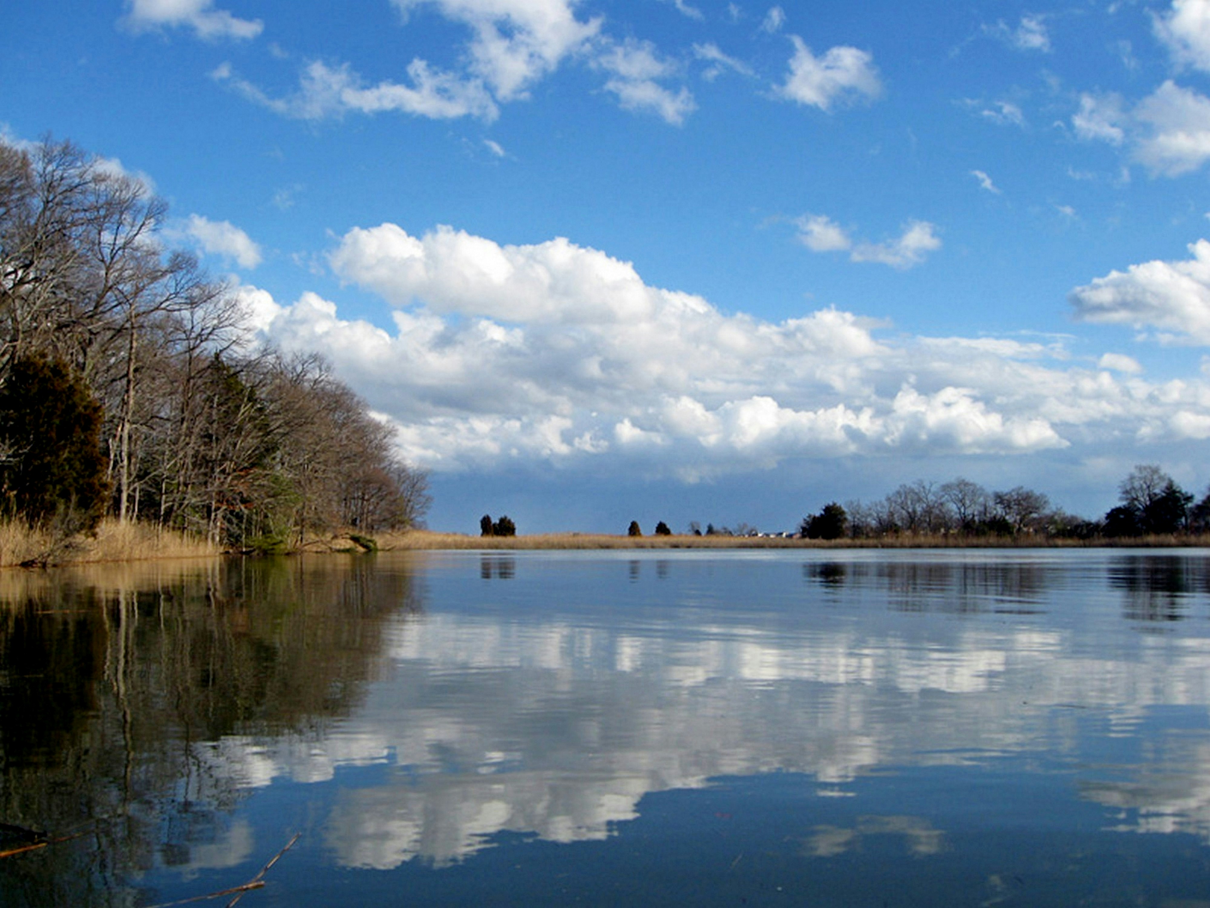 Photo by craazyquilt