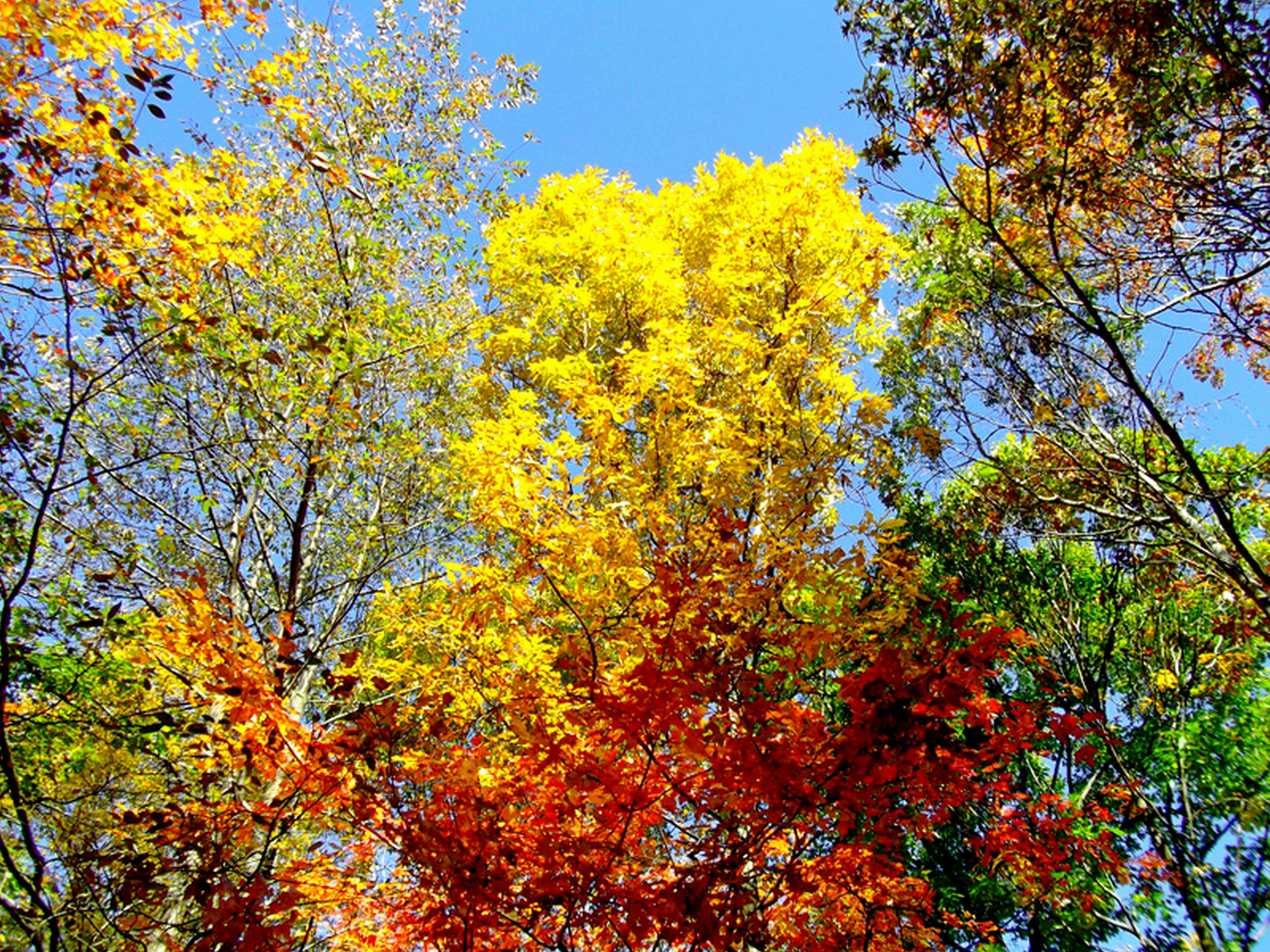 Photo by craazyquilt